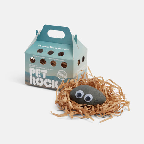 Everything Everywhere Pet Rock™