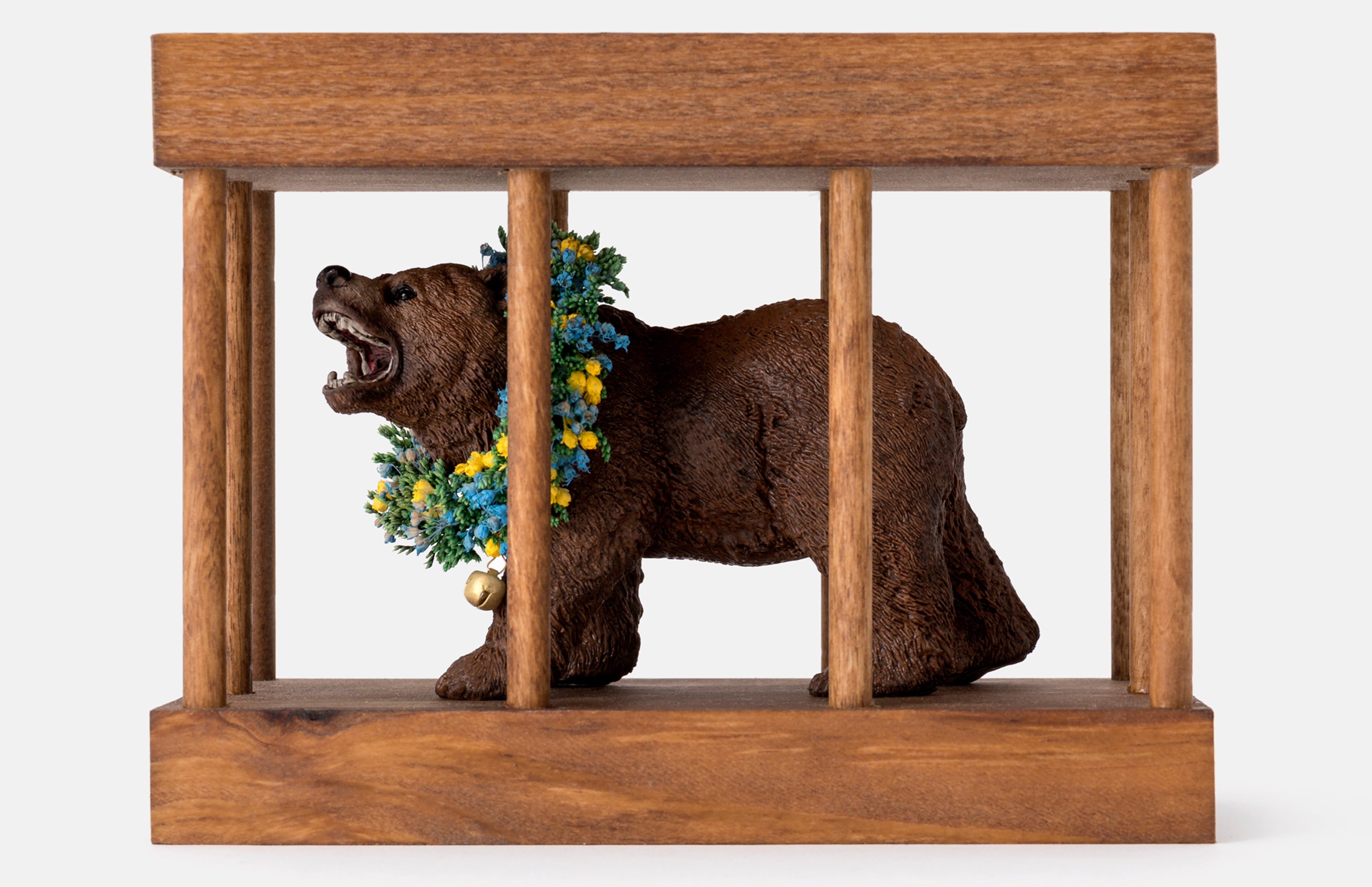 Bear in a Cage