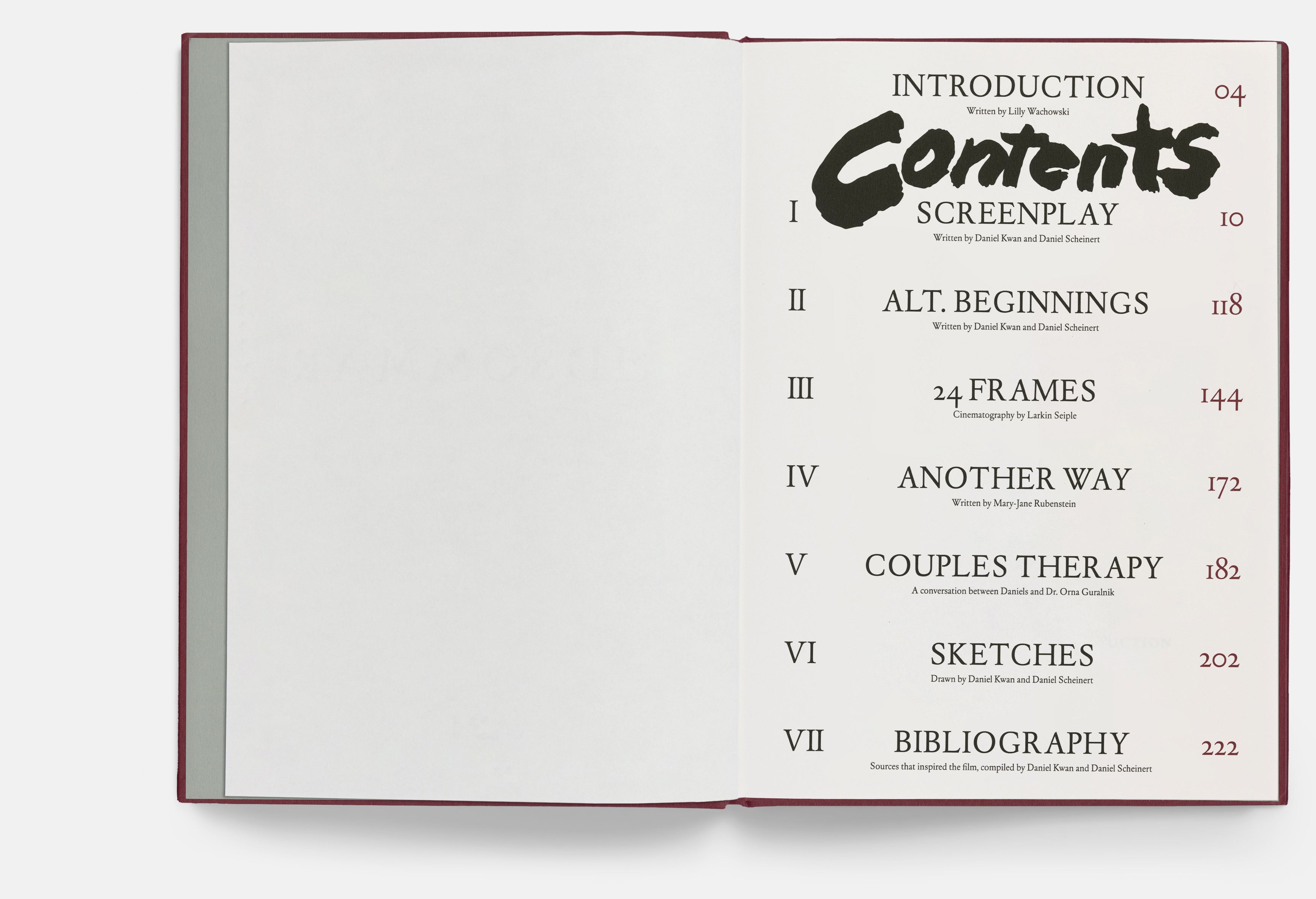 Everything Everywhere All At Once Screenplay Book