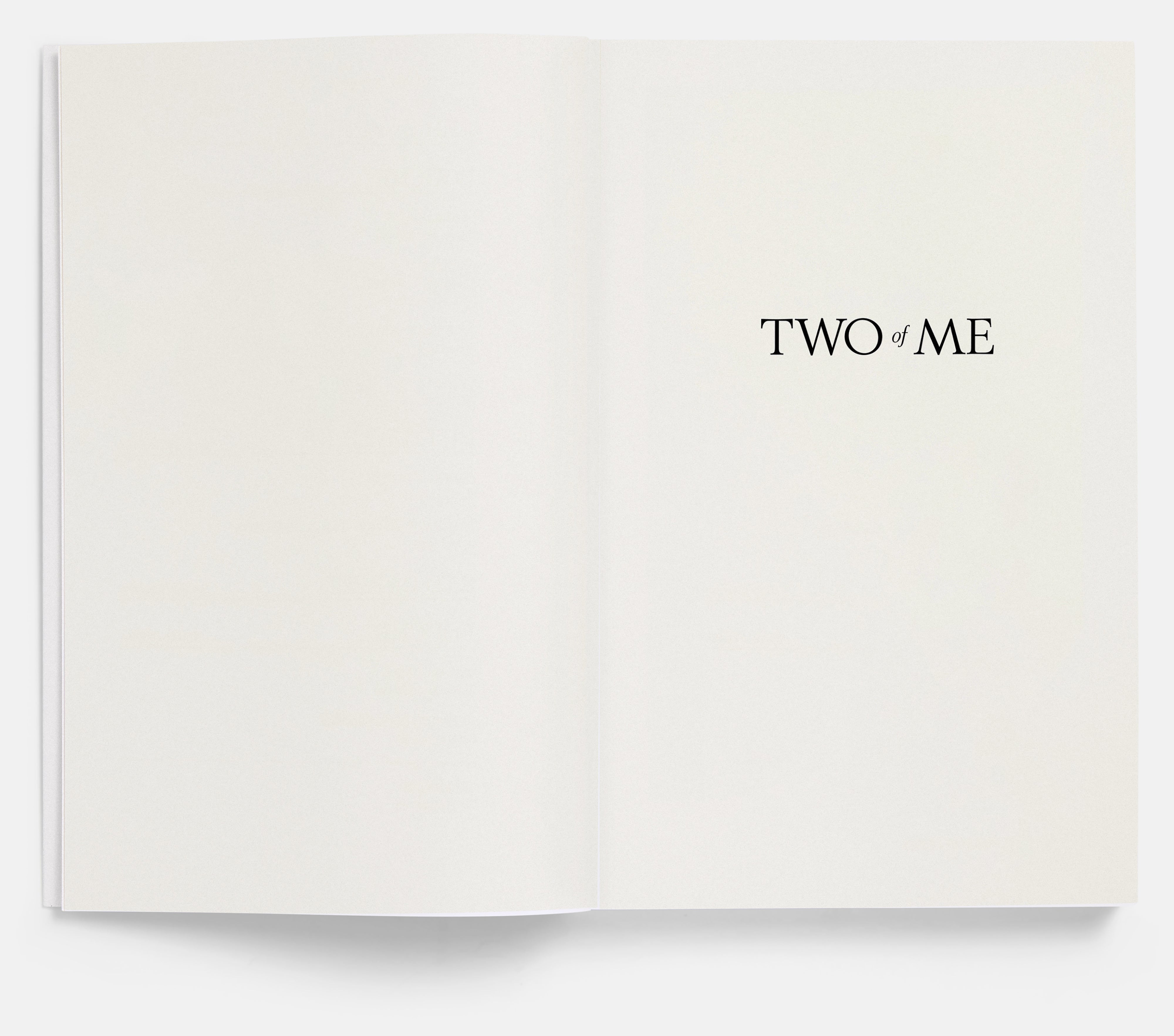 Two of Me by Eleanor Coppola