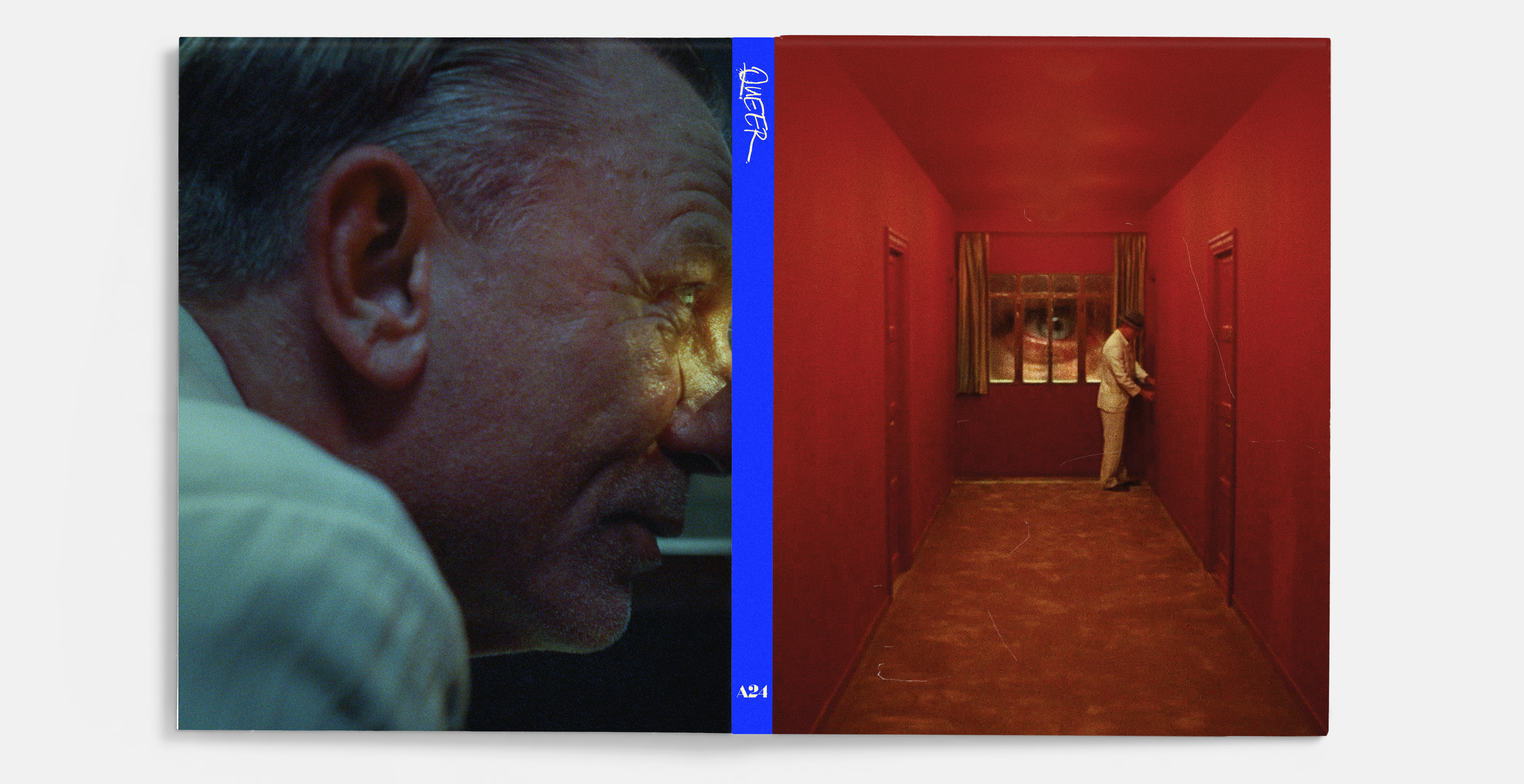 Queer Blu-ray