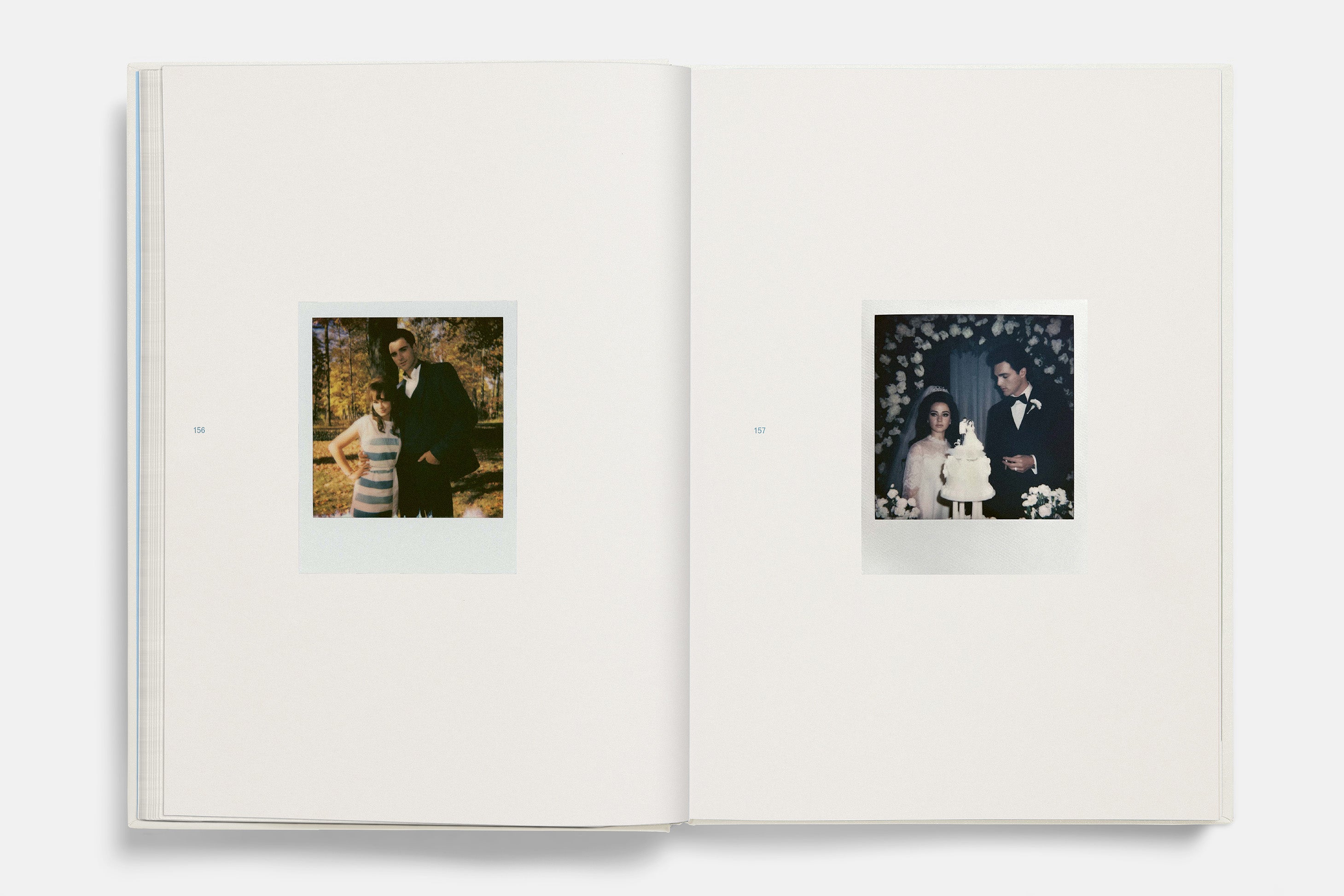 Priscilla Screenplay Book