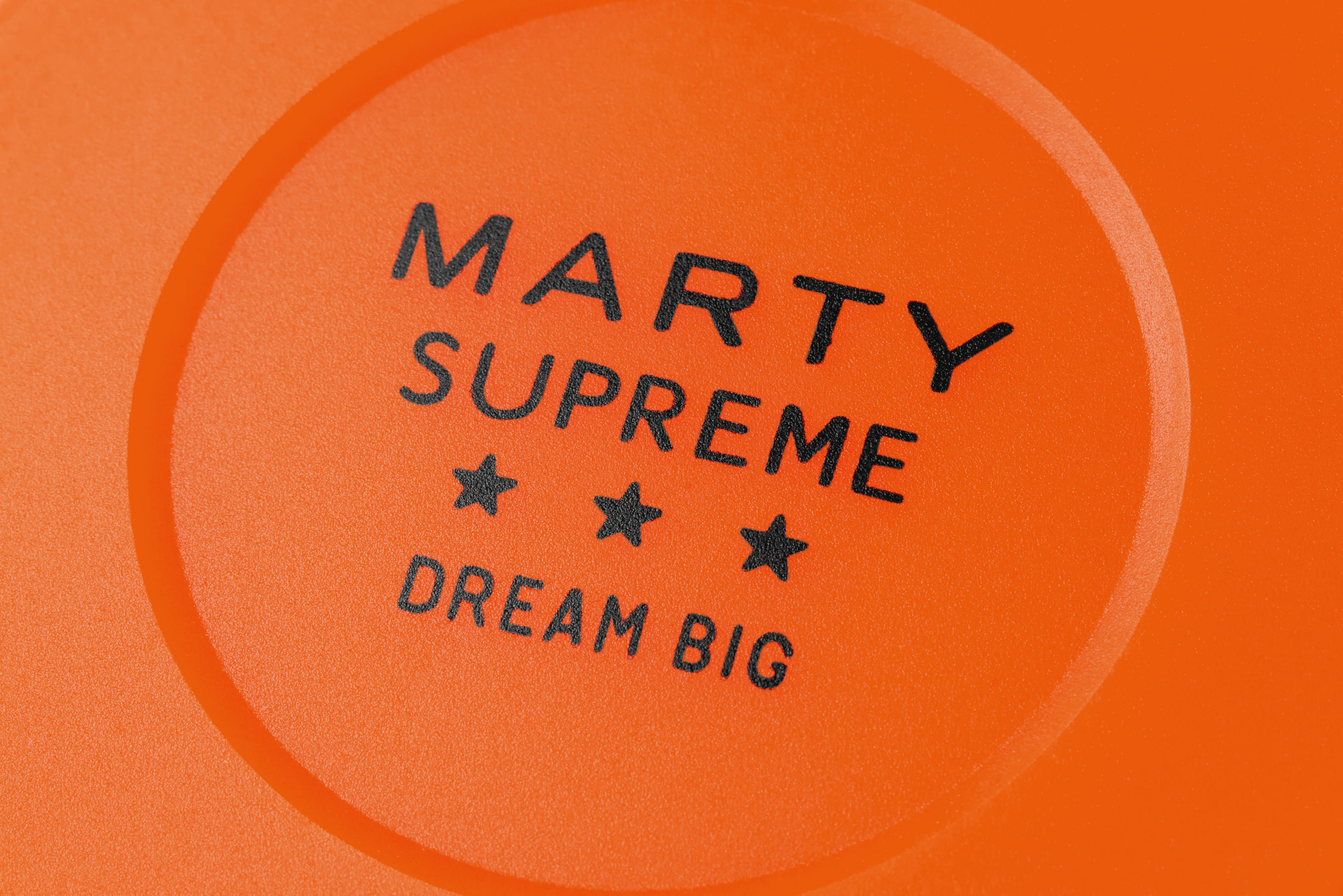 Marty Supreme Hockey Puck