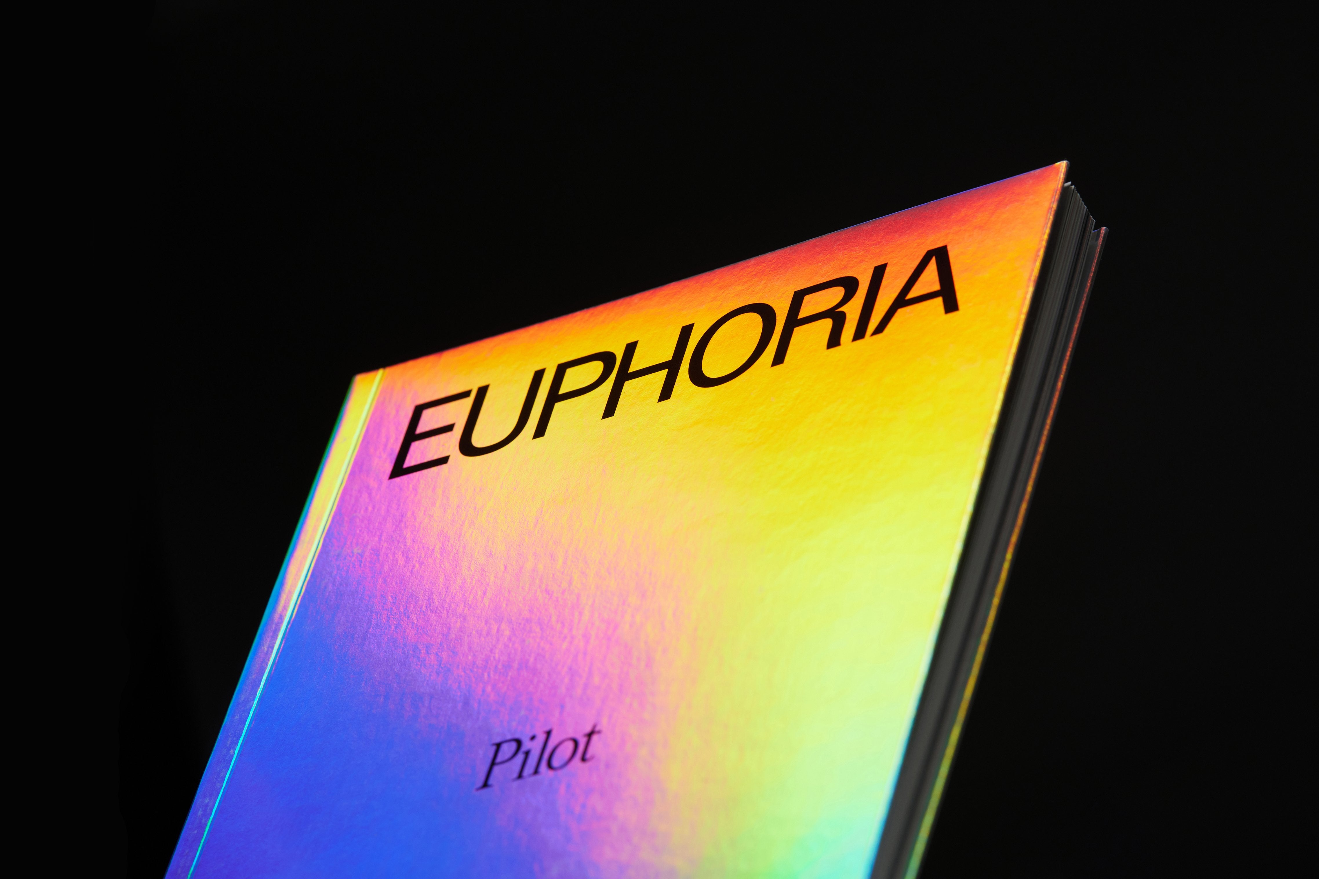 Robert Fripp Euphoria ボックスセット The Euphoria Books: Boxed Set – A24 Shop