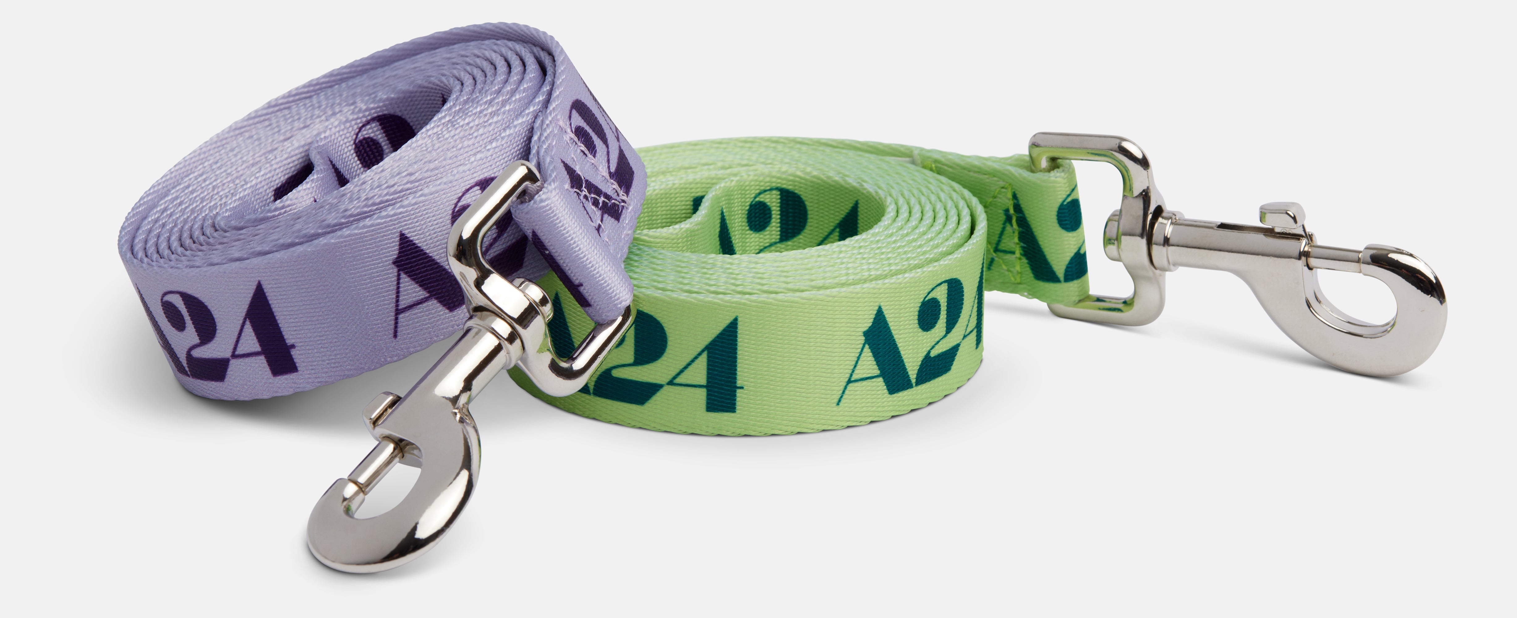20210427_A24_Collar_Leash_5900-tight-crop.jpg
