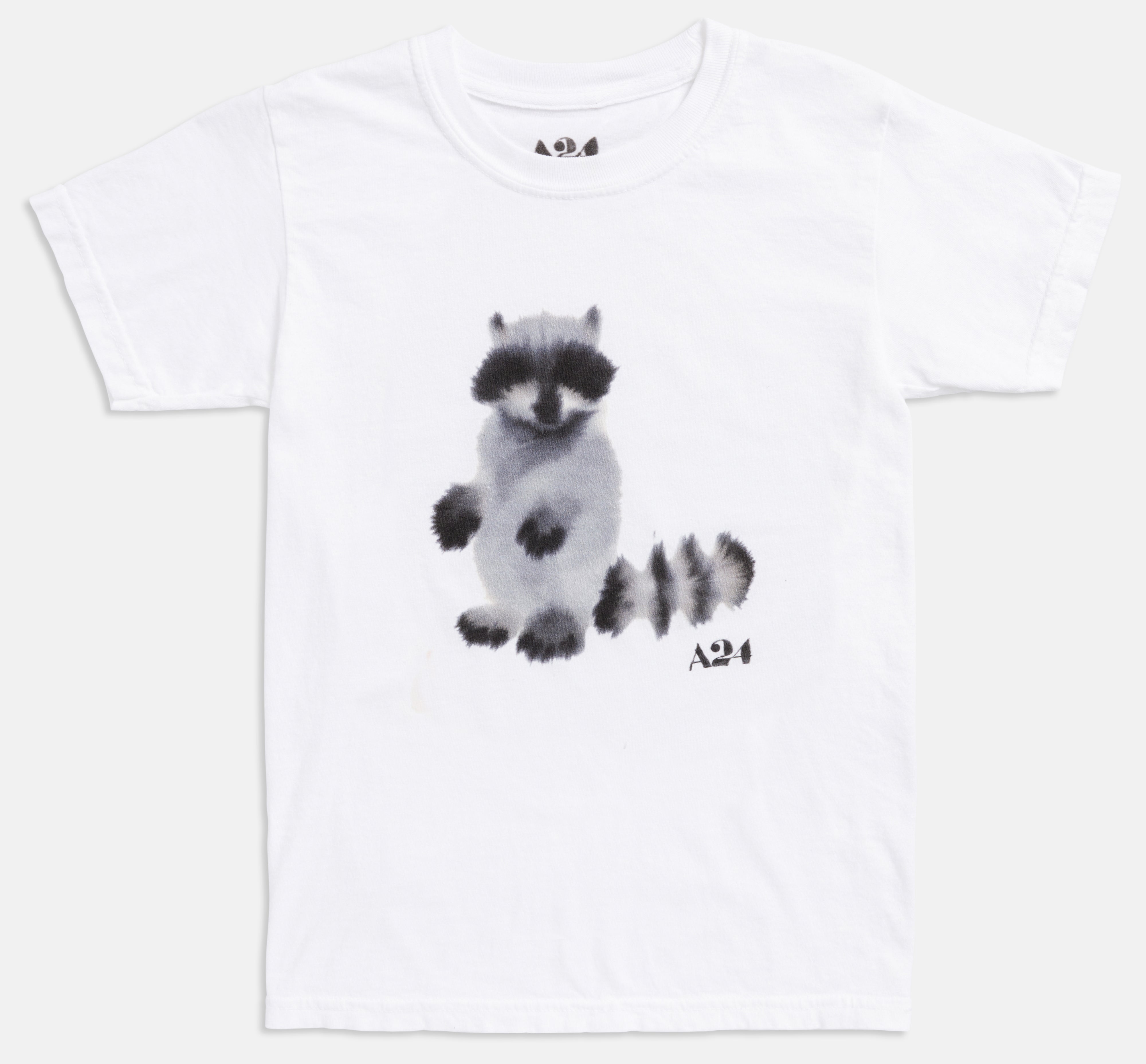 20230517_A24_Kids_Tees_0150-Raccoon-tight-gray.jpg