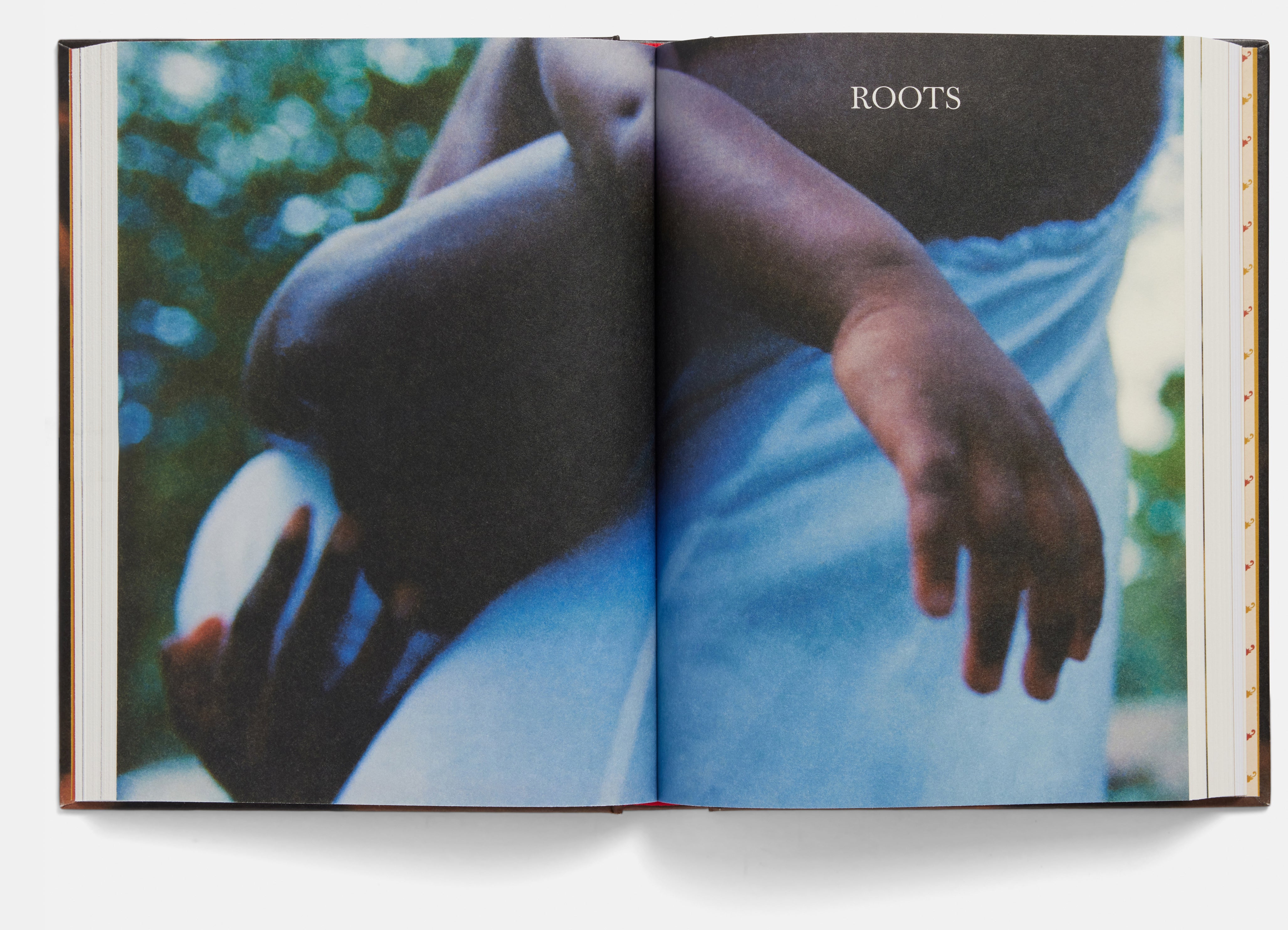 Stories From a Place Where All Dirt Roads Taste of Salt by Raven Jackson