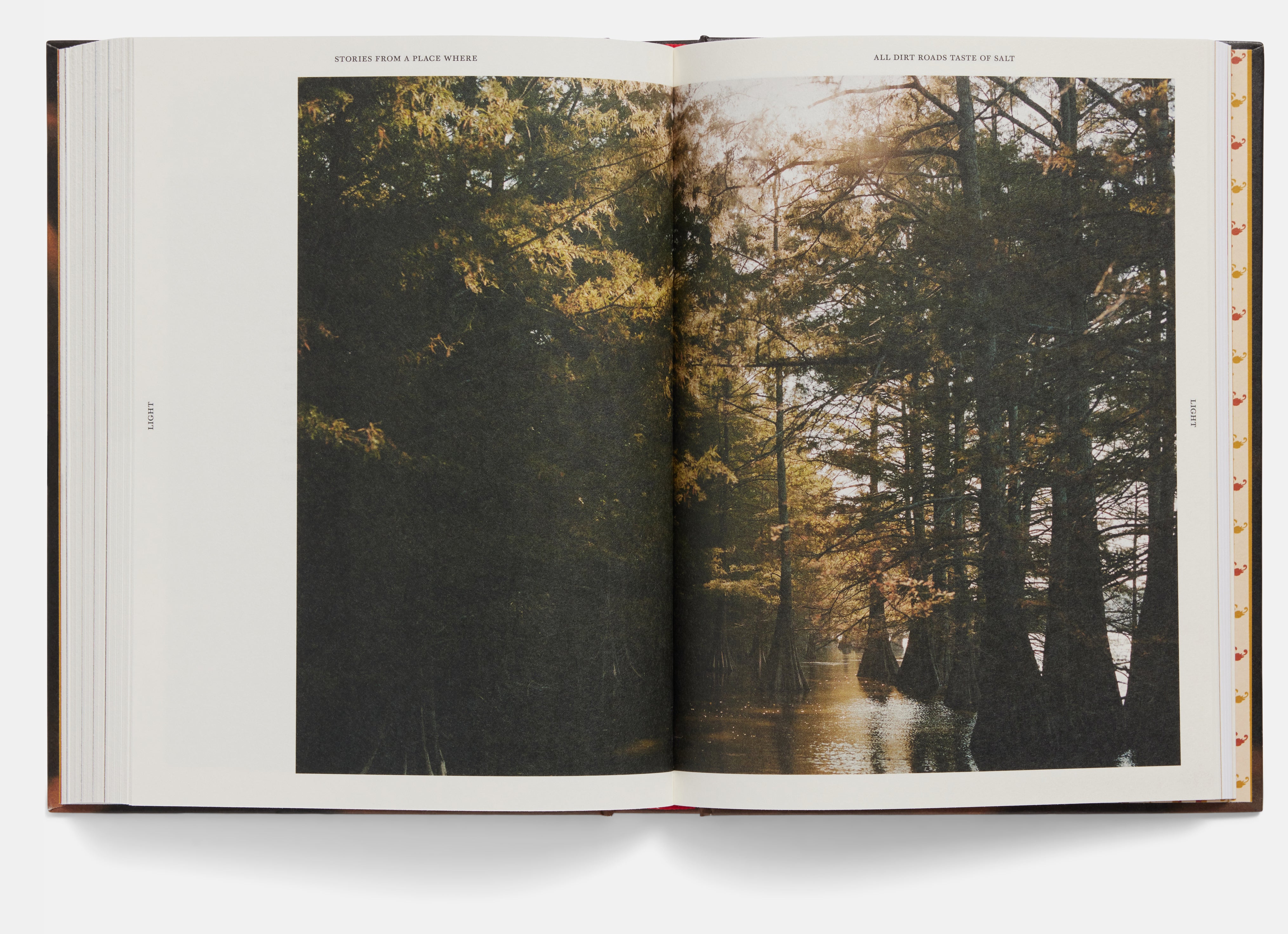 Stories From a Place Where All Dirt Roads Taste of Salt by Raven Jackson