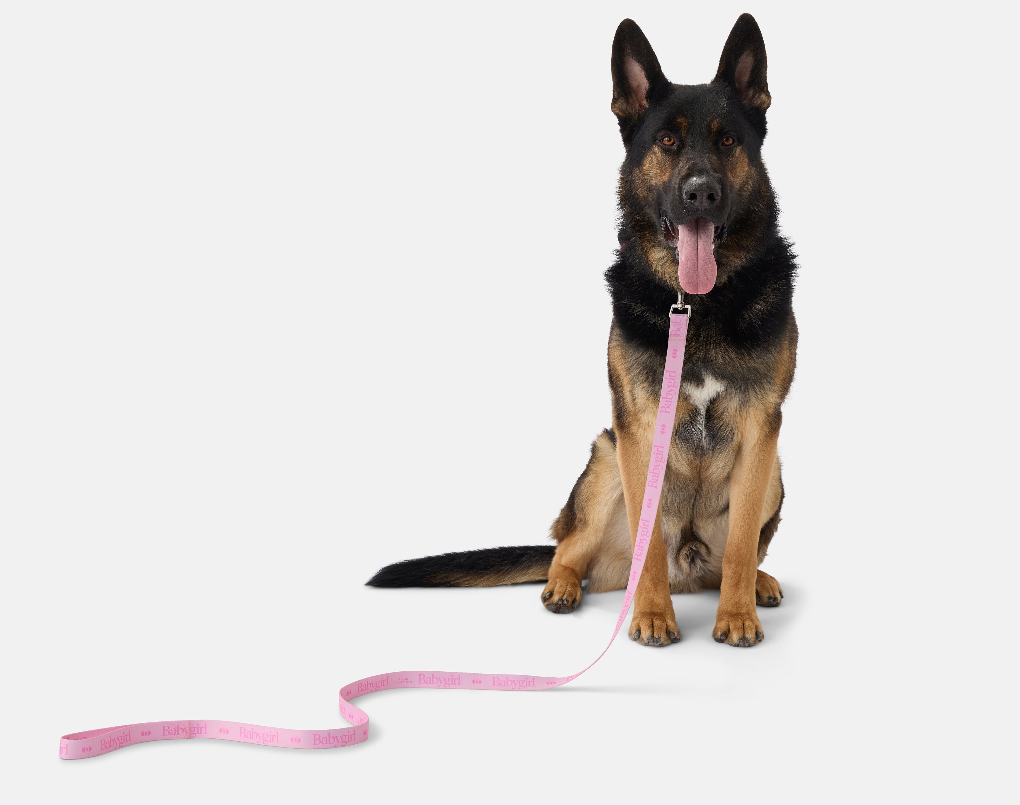 Babygirl x Sky Ferreira ‘Leash’ Leash