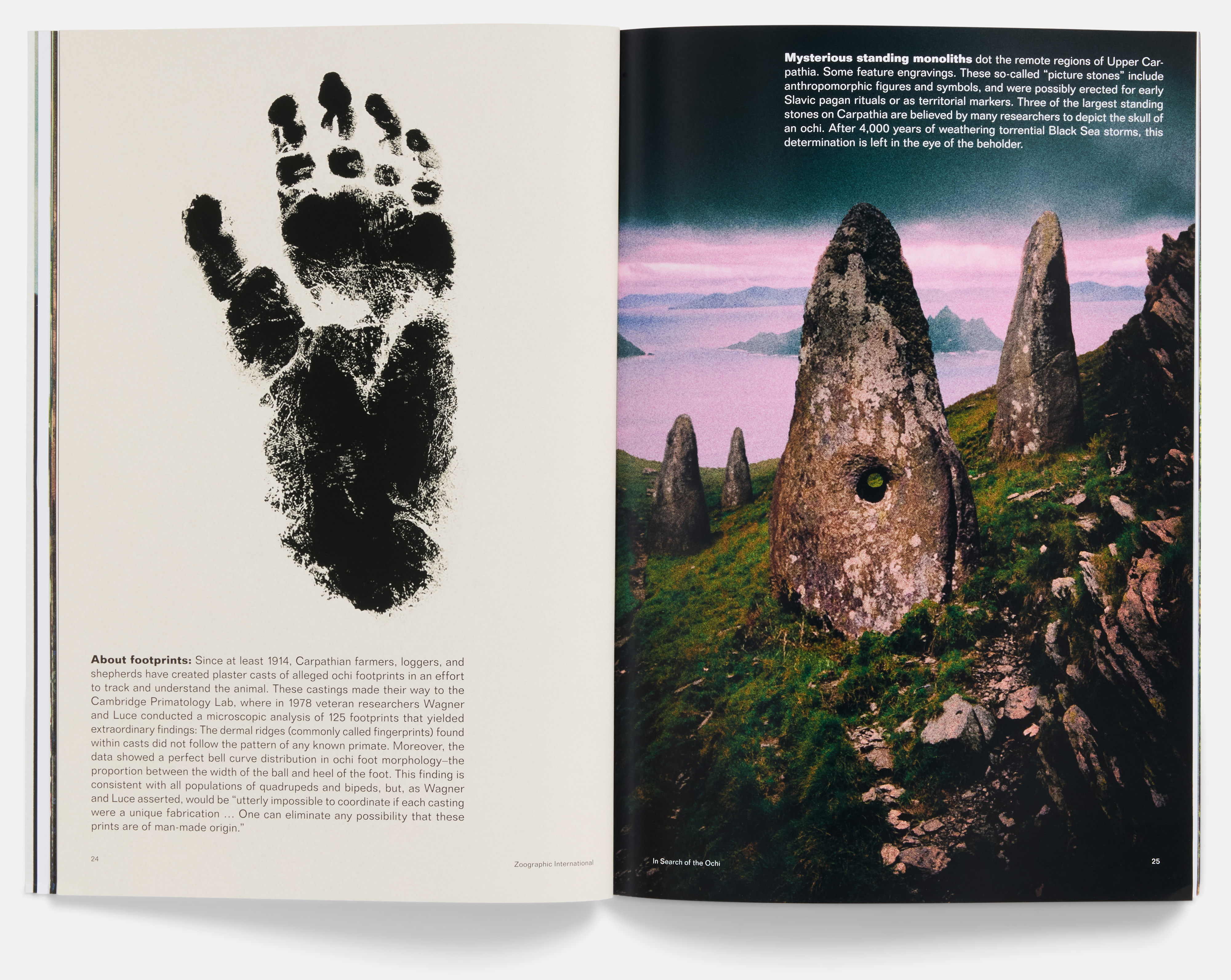 In Search of the Ochi Field Guide