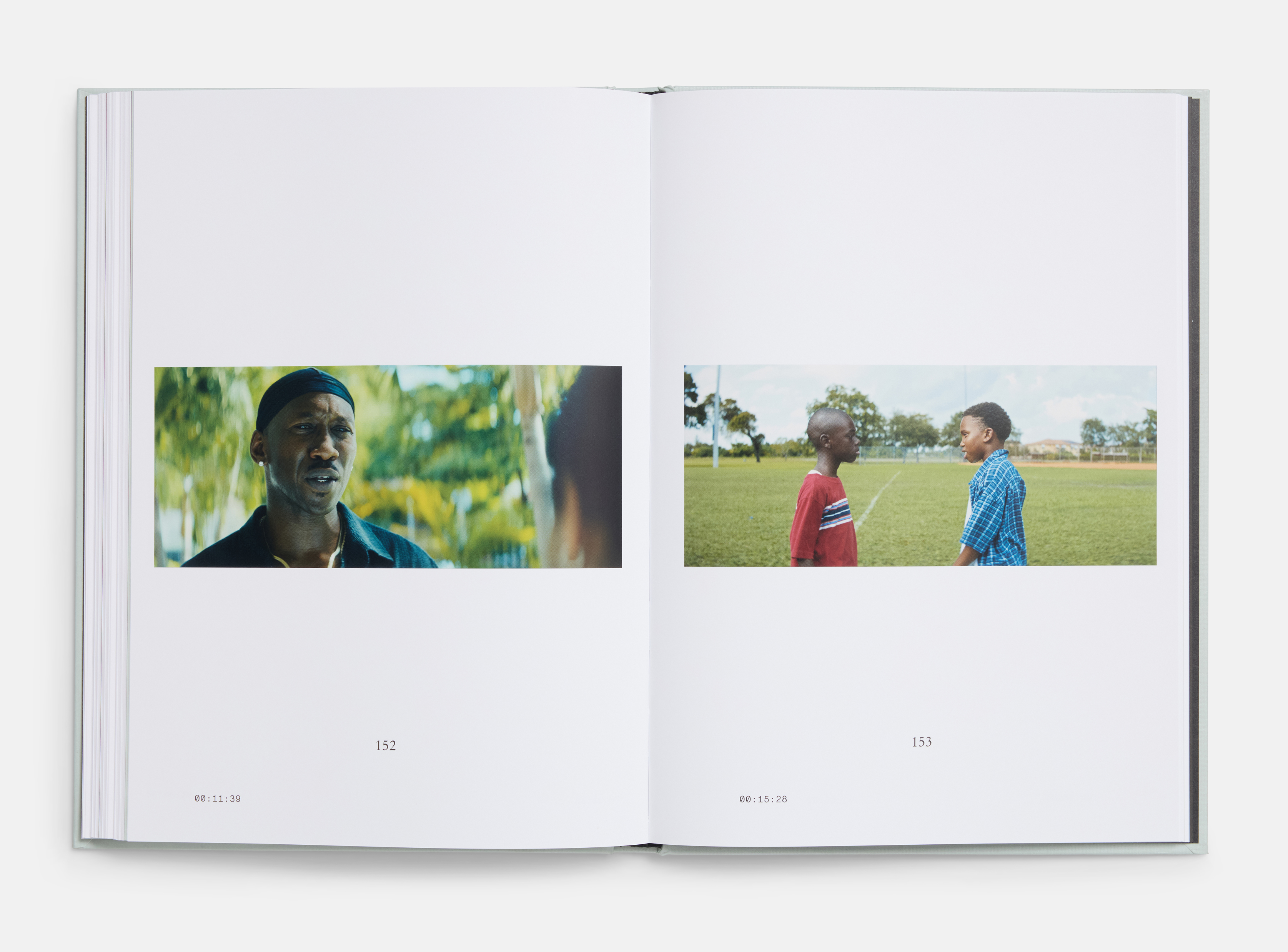Moonlight Screenplay Book