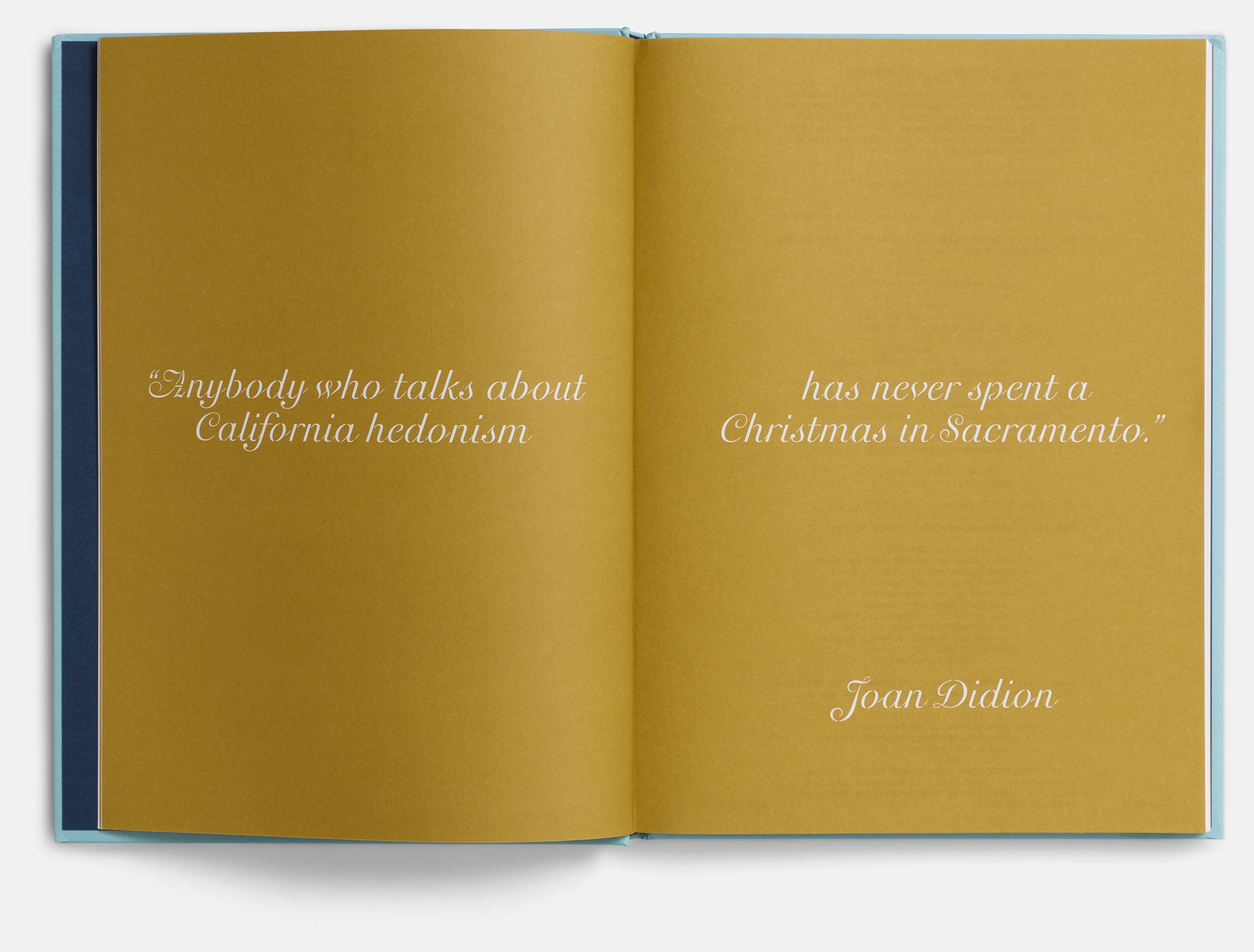 Lady Bird Screenplay Book
