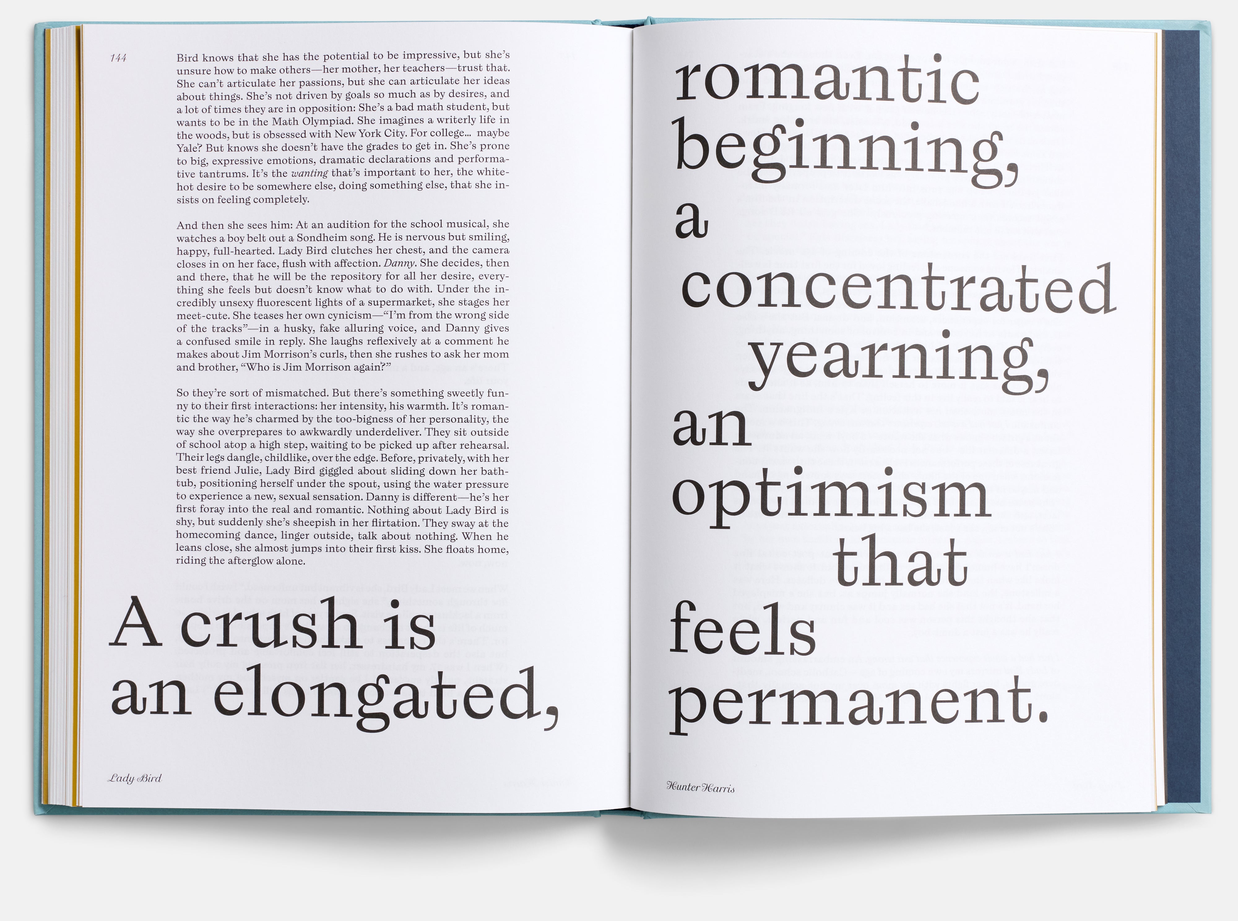 Lady Bird Screenplay Book