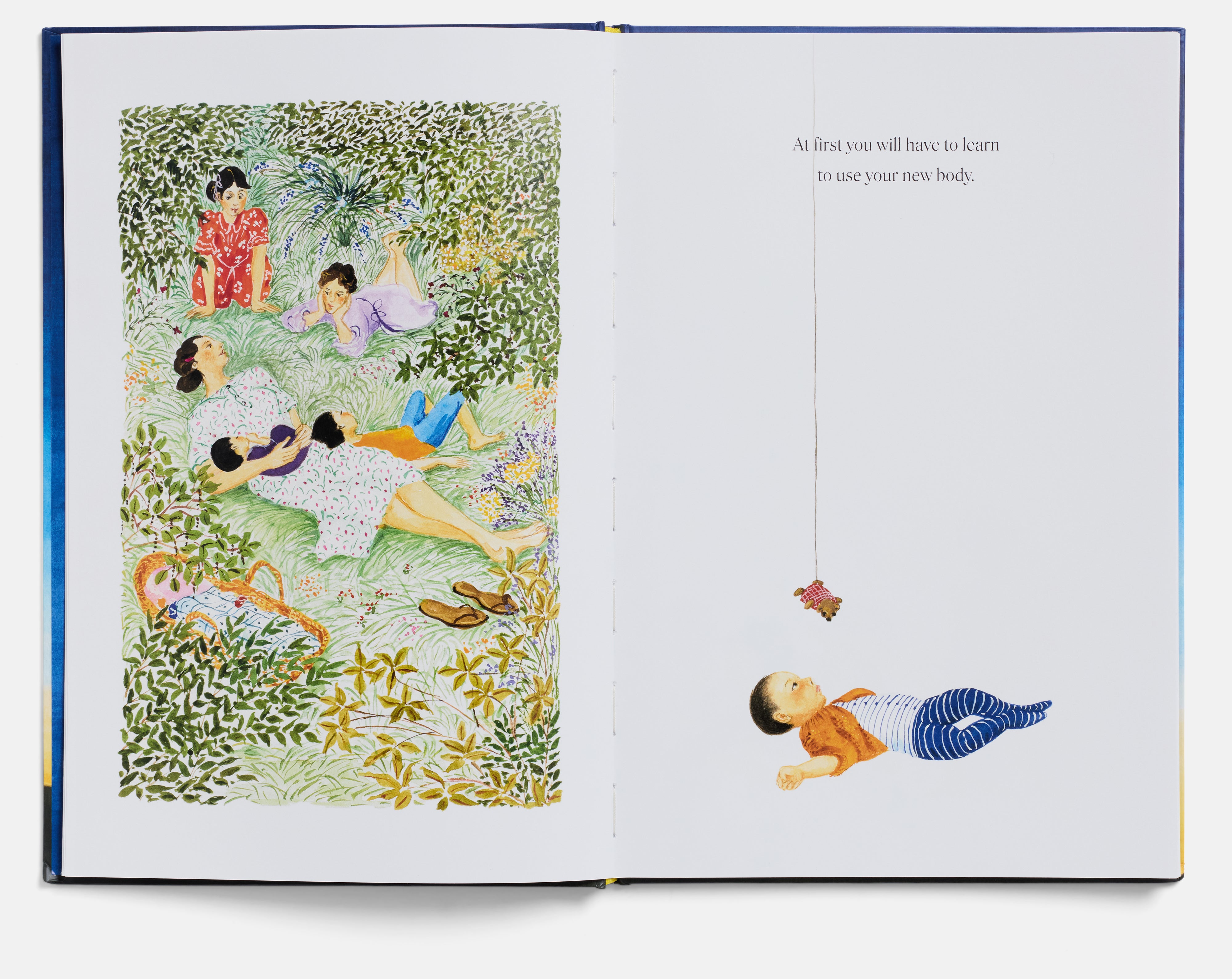 Star Child: Special Edition by Claire A. Nivola – A24 Shop