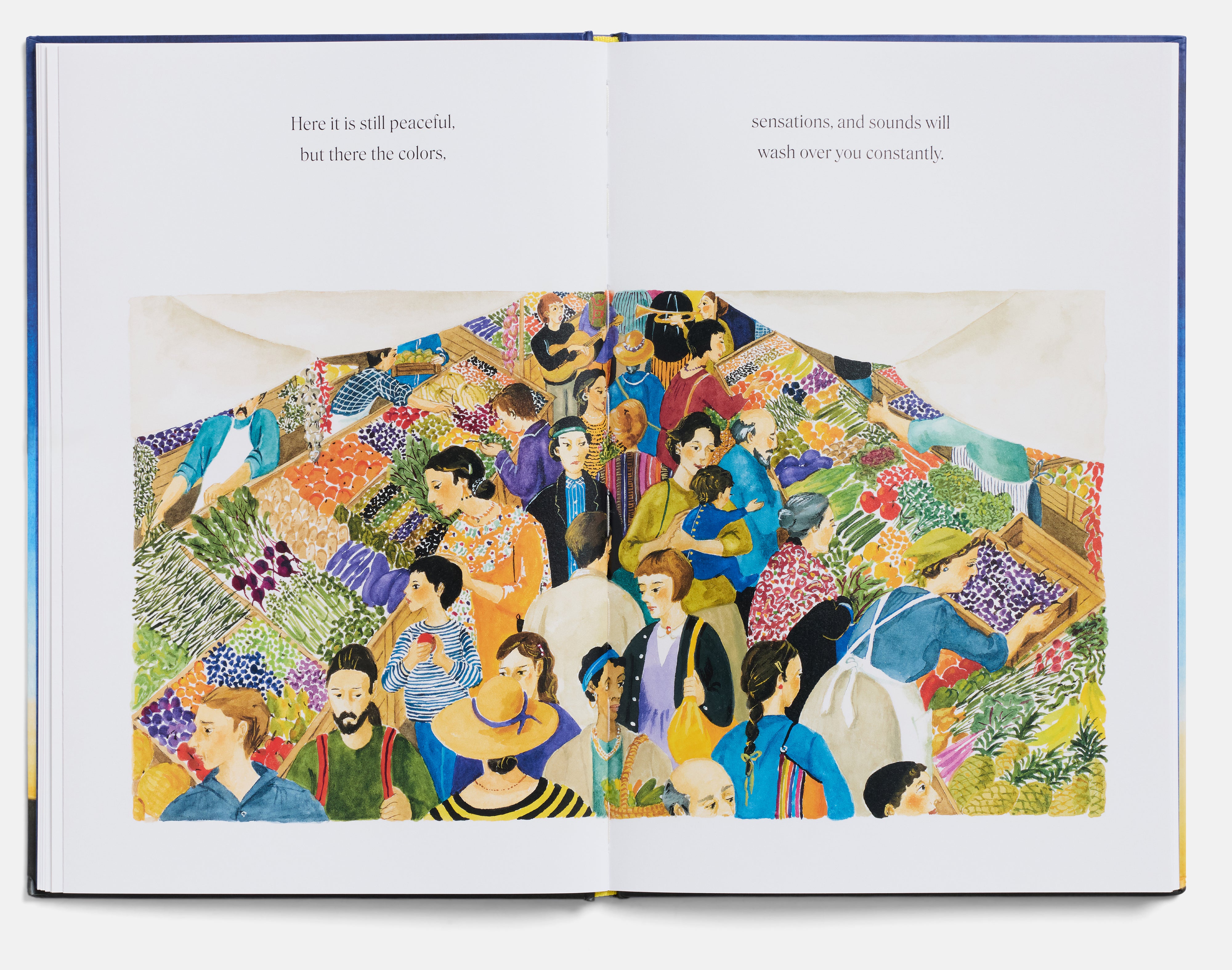 Star Child: Special Edition by Claire A. Nivola – A24 Shop