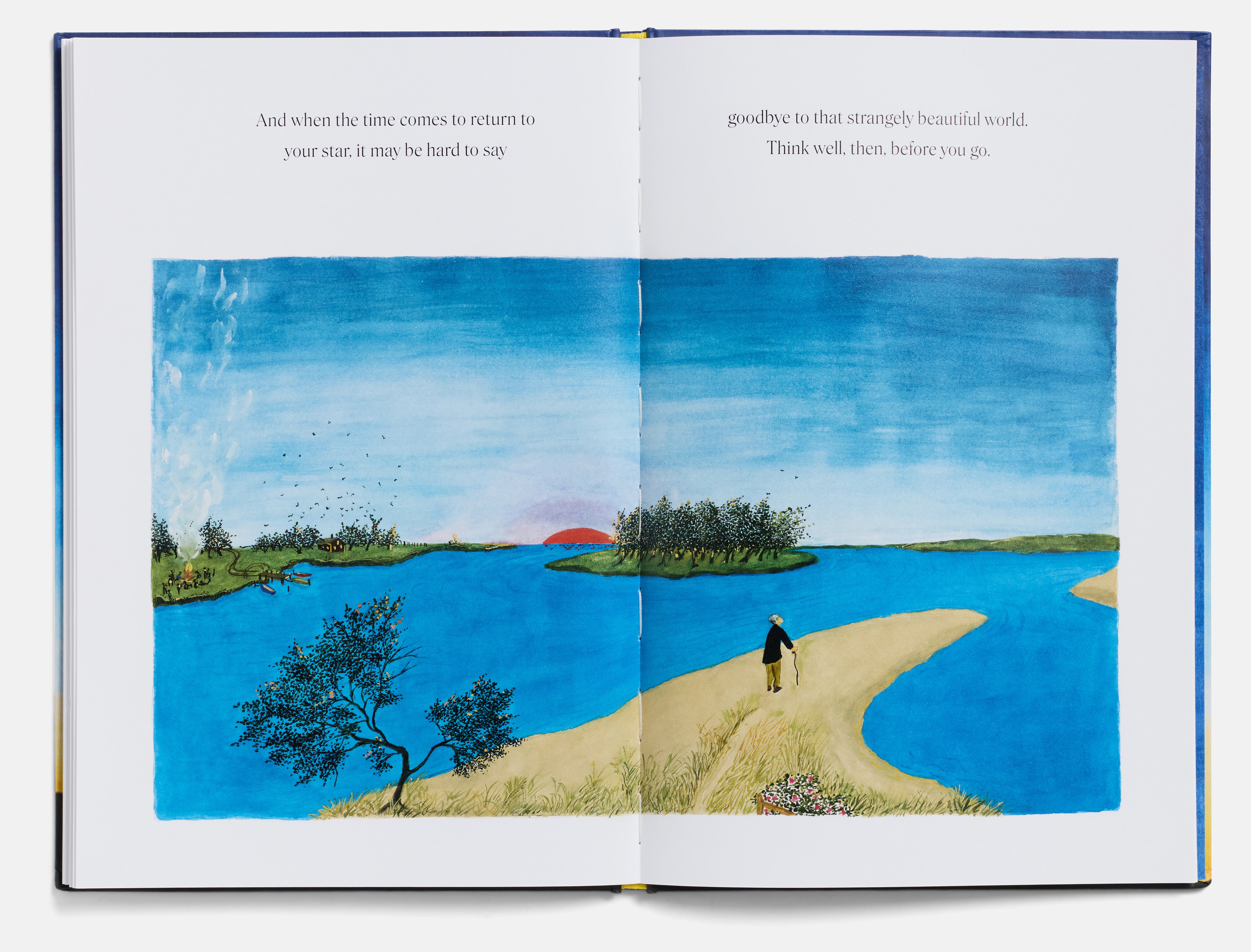 Star Child: Special Edition by Claire A. Nivola – A24 Shop