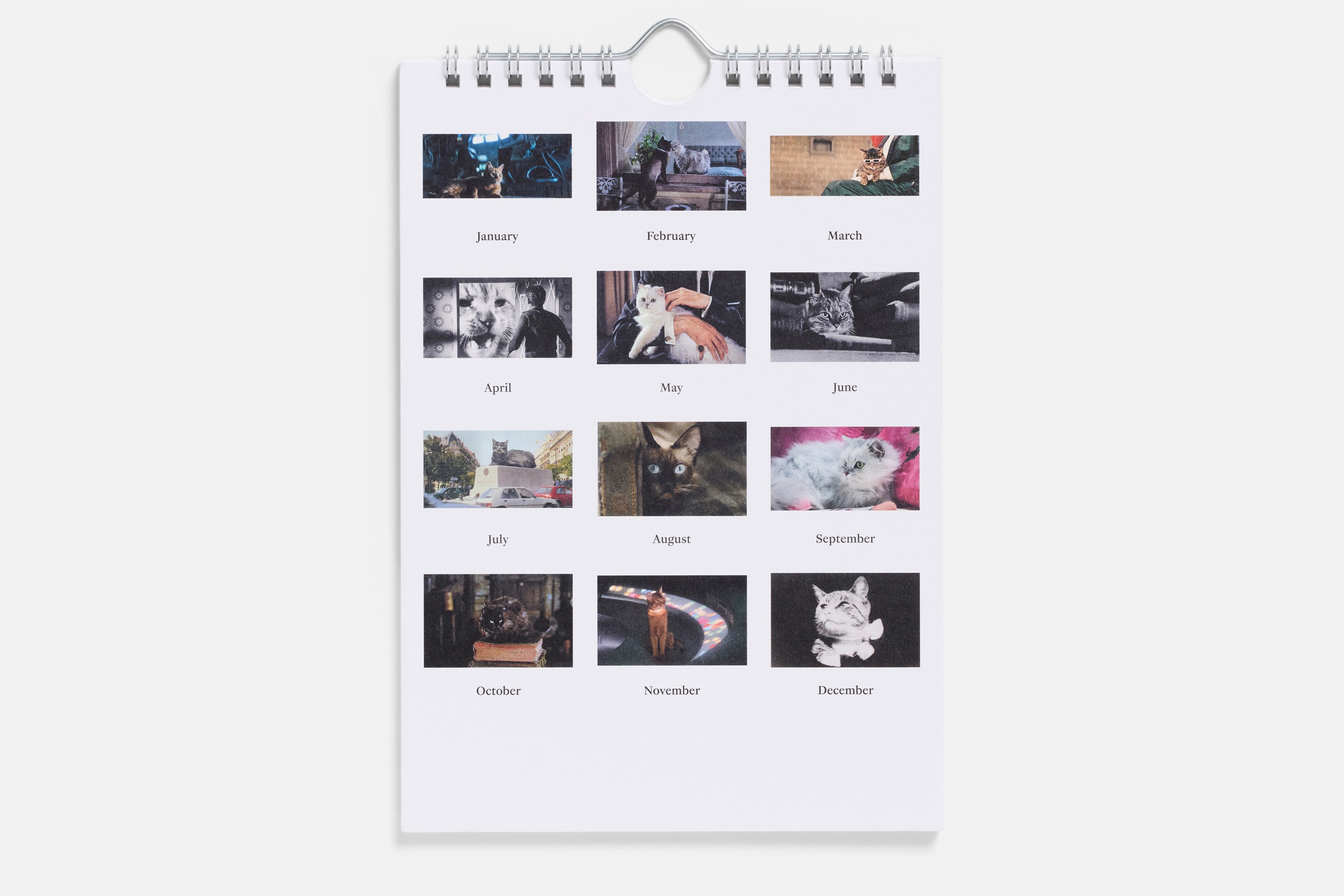 The 2027 Calendar of Movie Cats