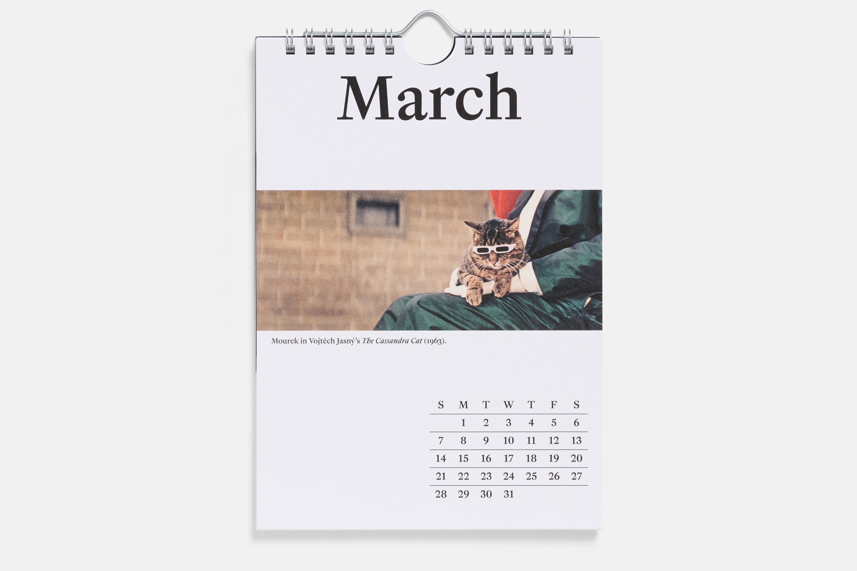 The 2027 Calendar of Movie Cats