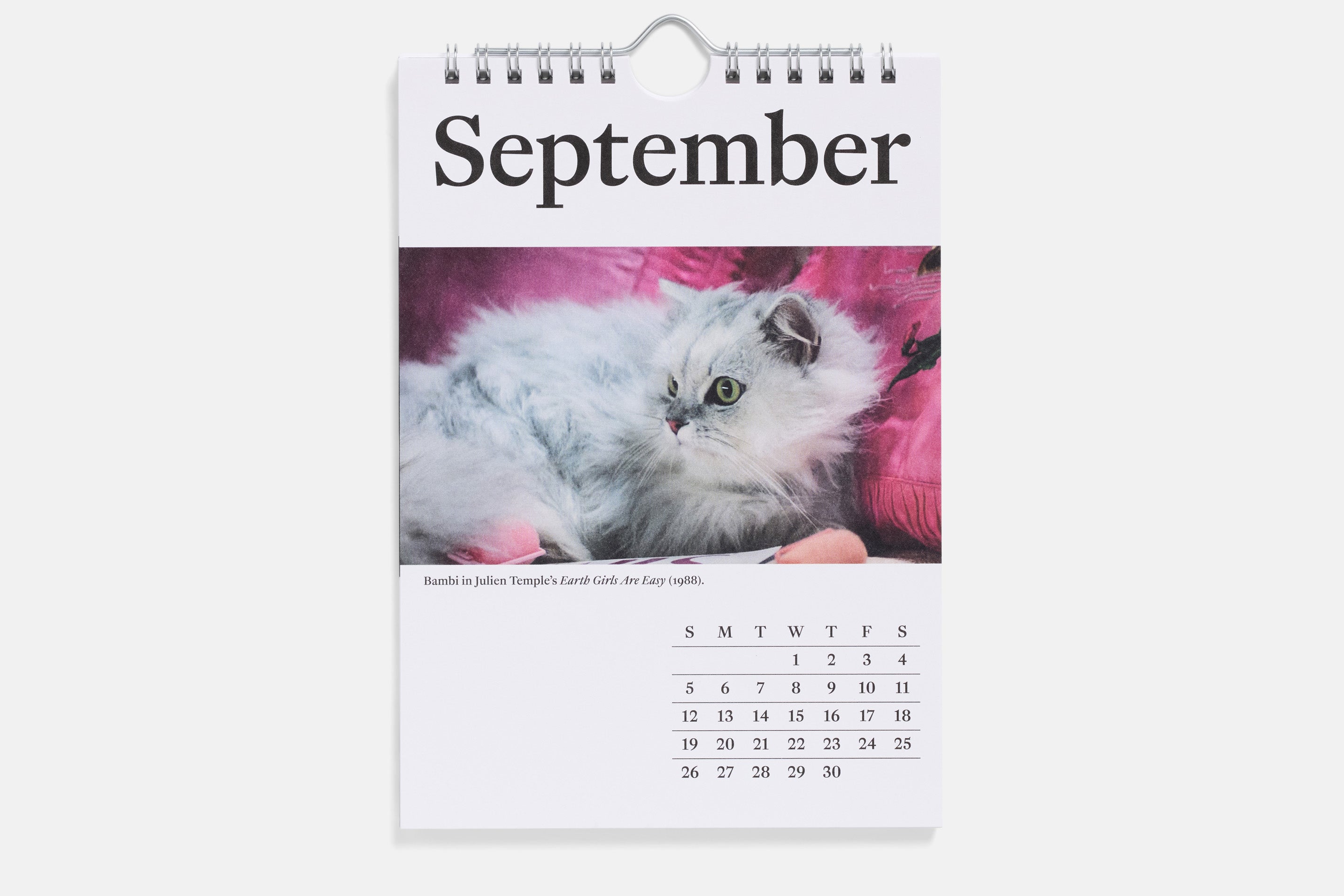 The 2027 Calendar of Movie Cats