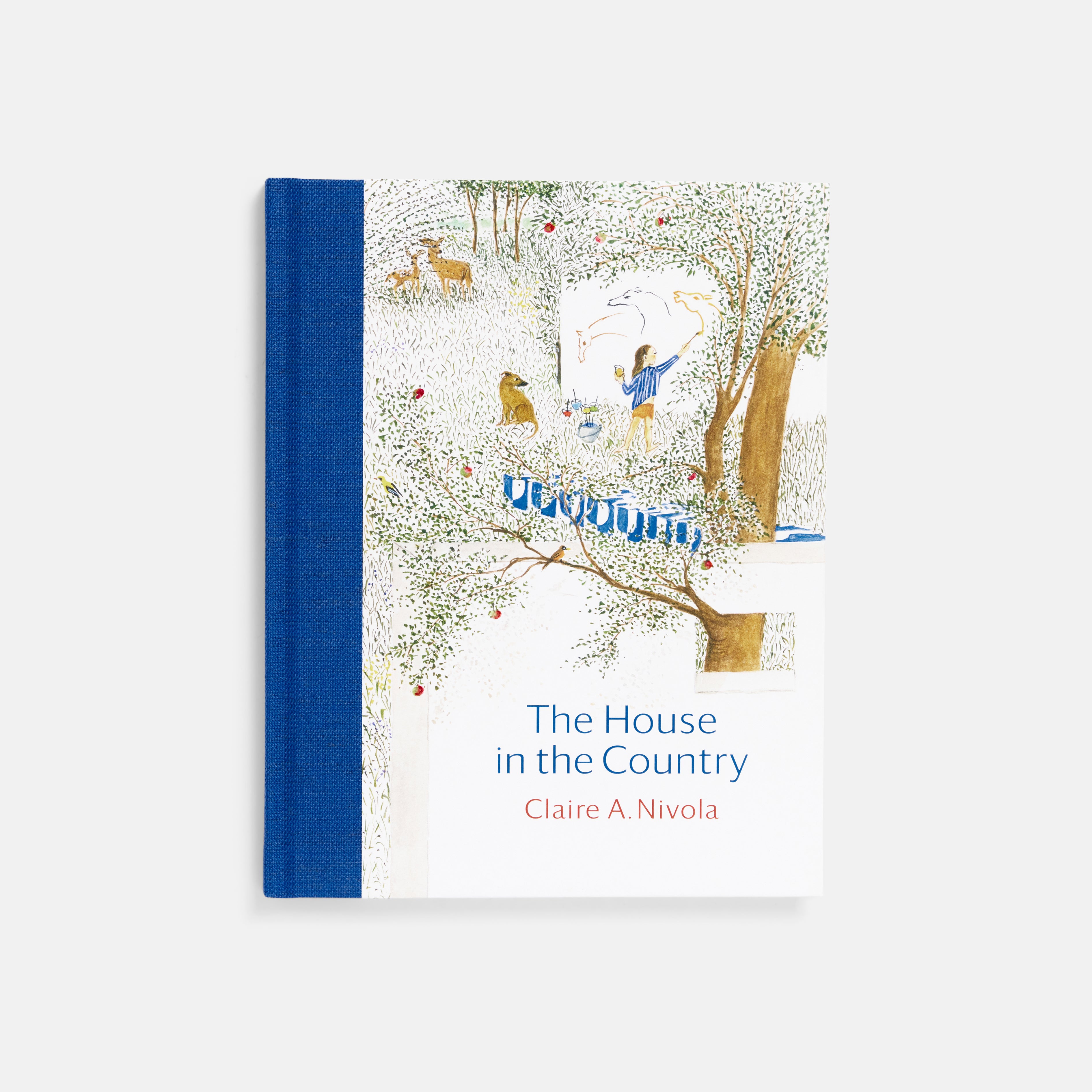 The House in the Country by Claire A. Nivola