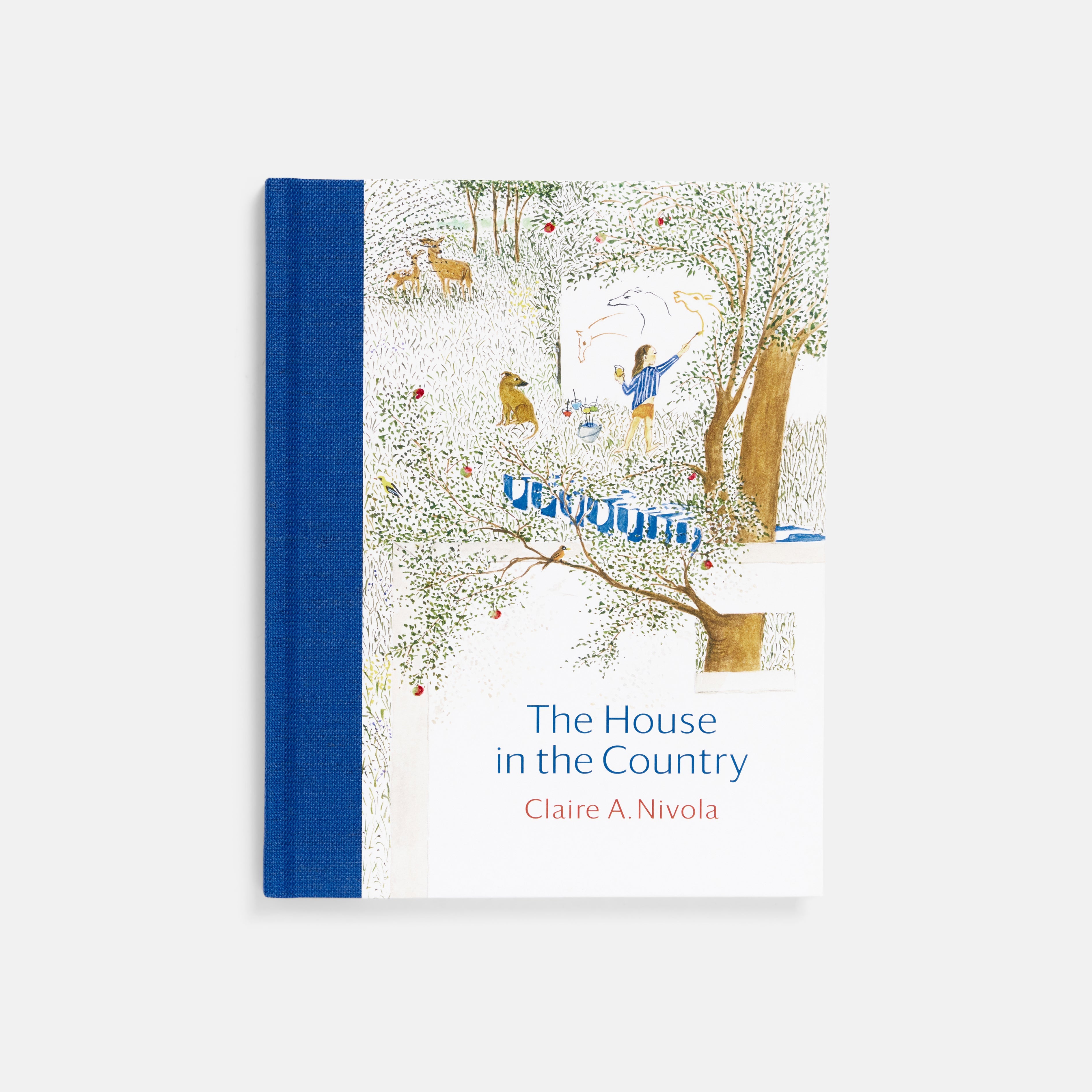 The House in the Country by Claire A. Nivola