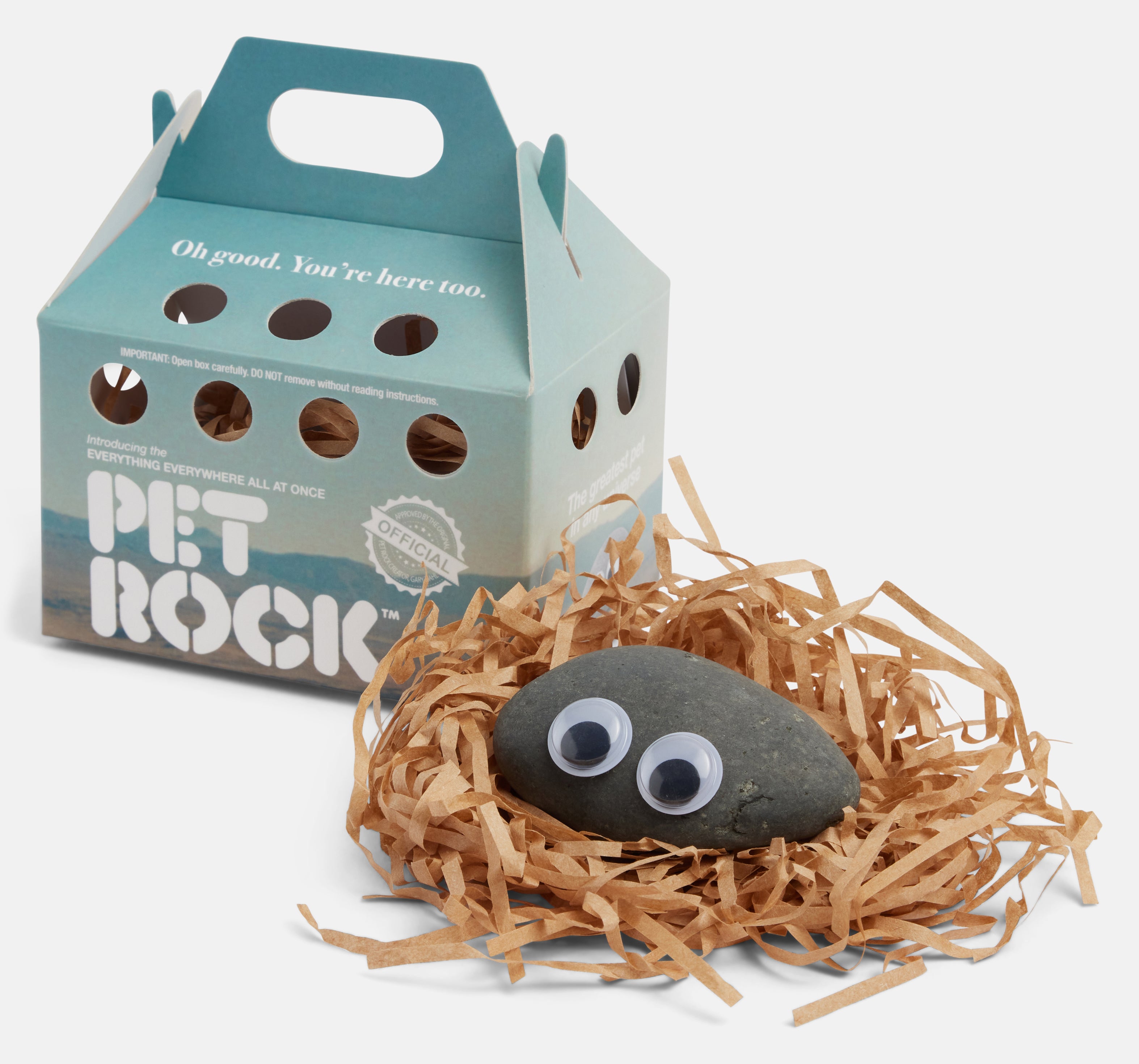 ASW23009-gray-tight-pet-rock.jpg