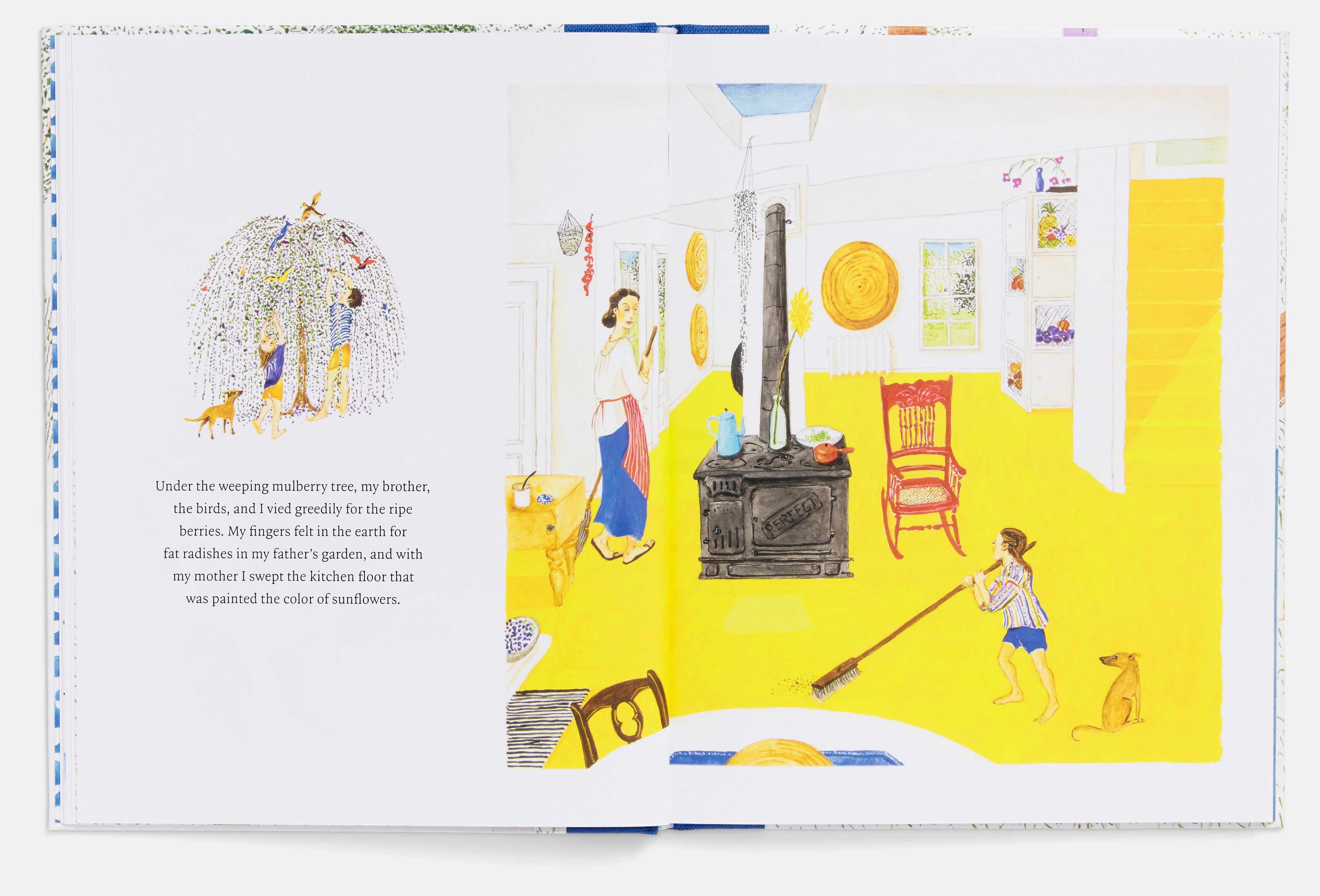 The House in the Country by Claire A. Nivola