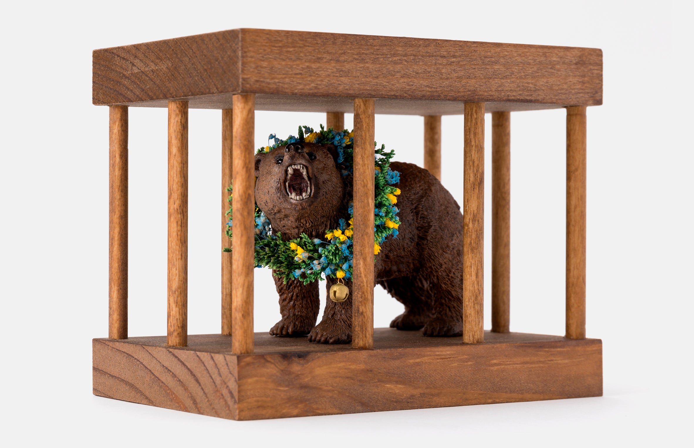 Bear in a Cage
