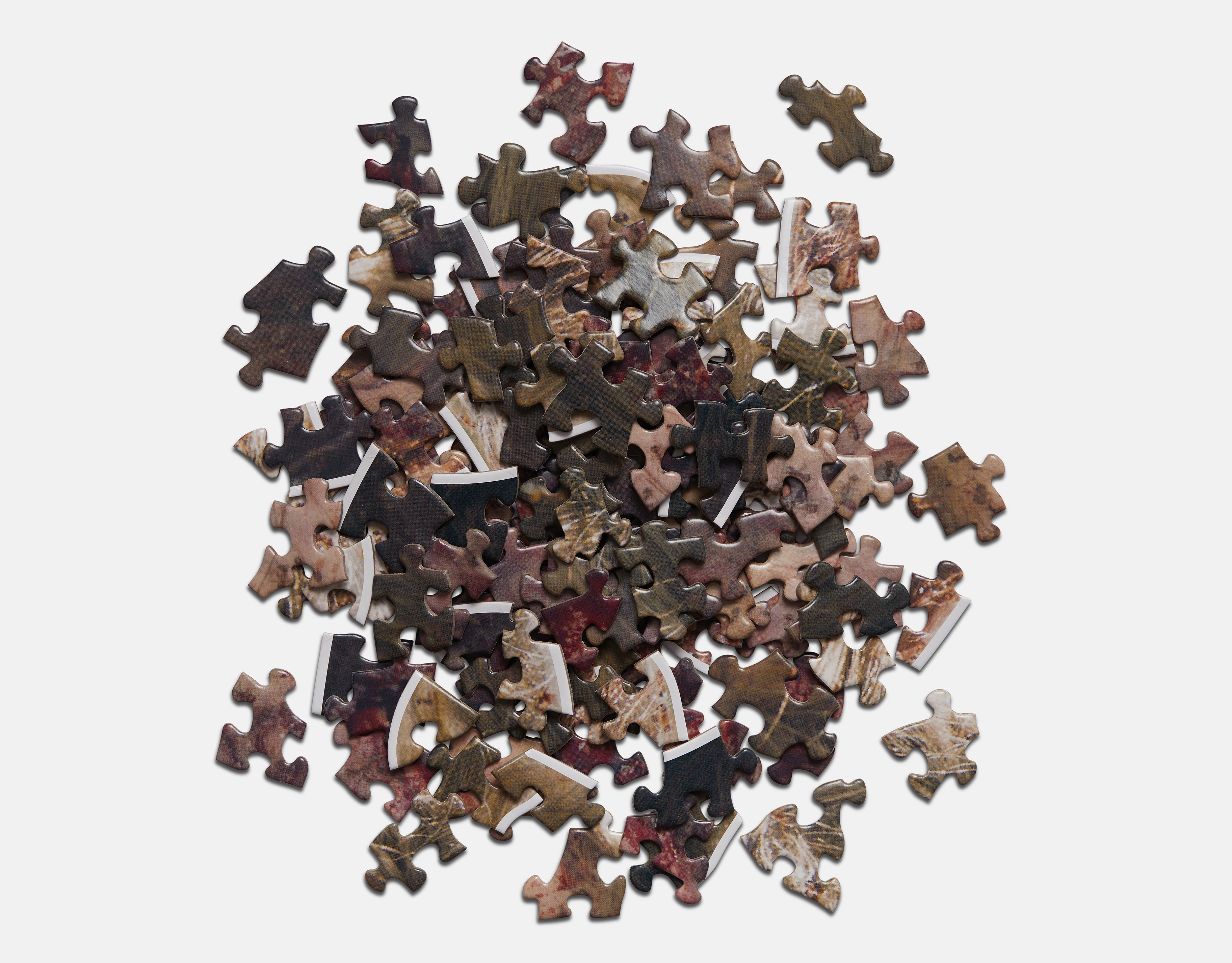 Mini Puzzle 003: Charlie’s Head