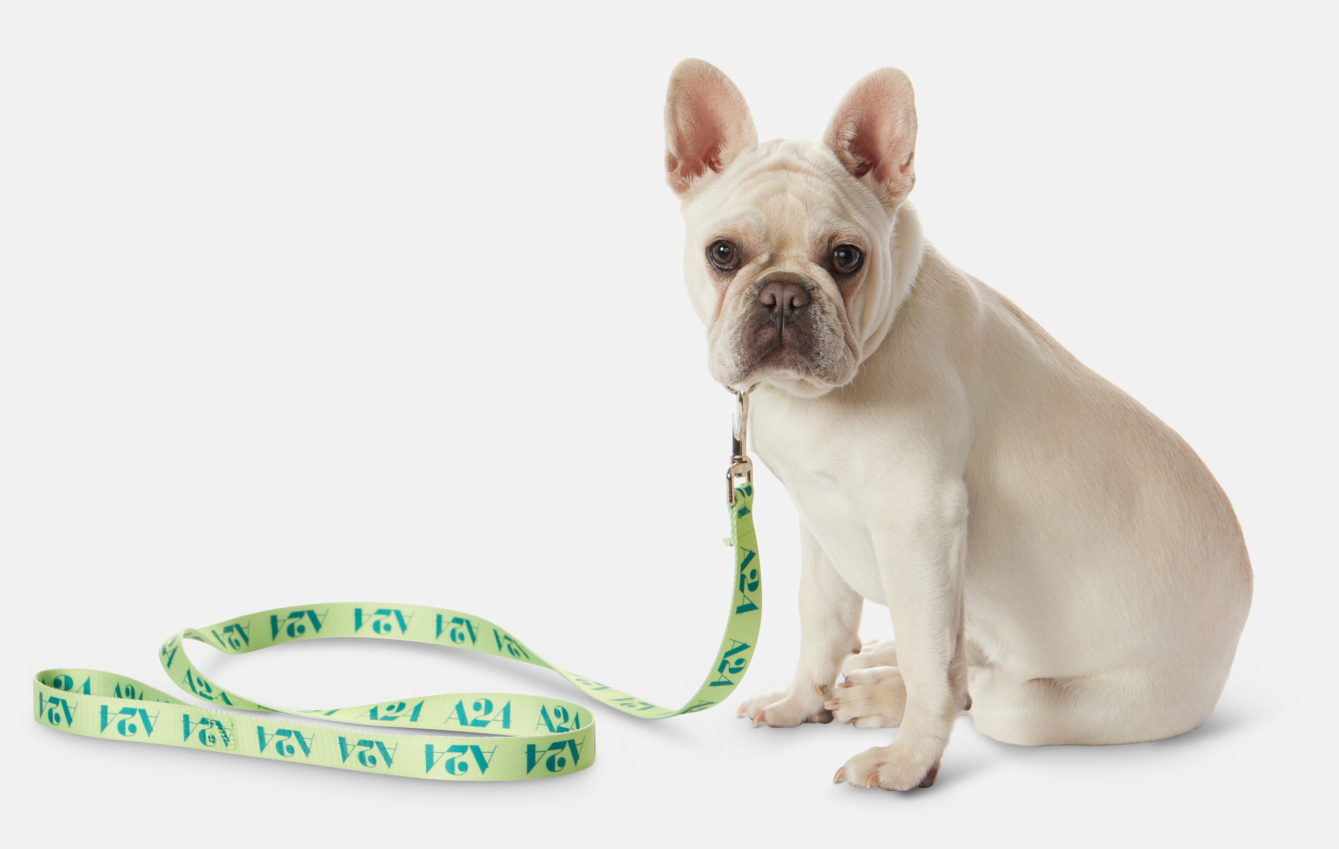 Logo Leash