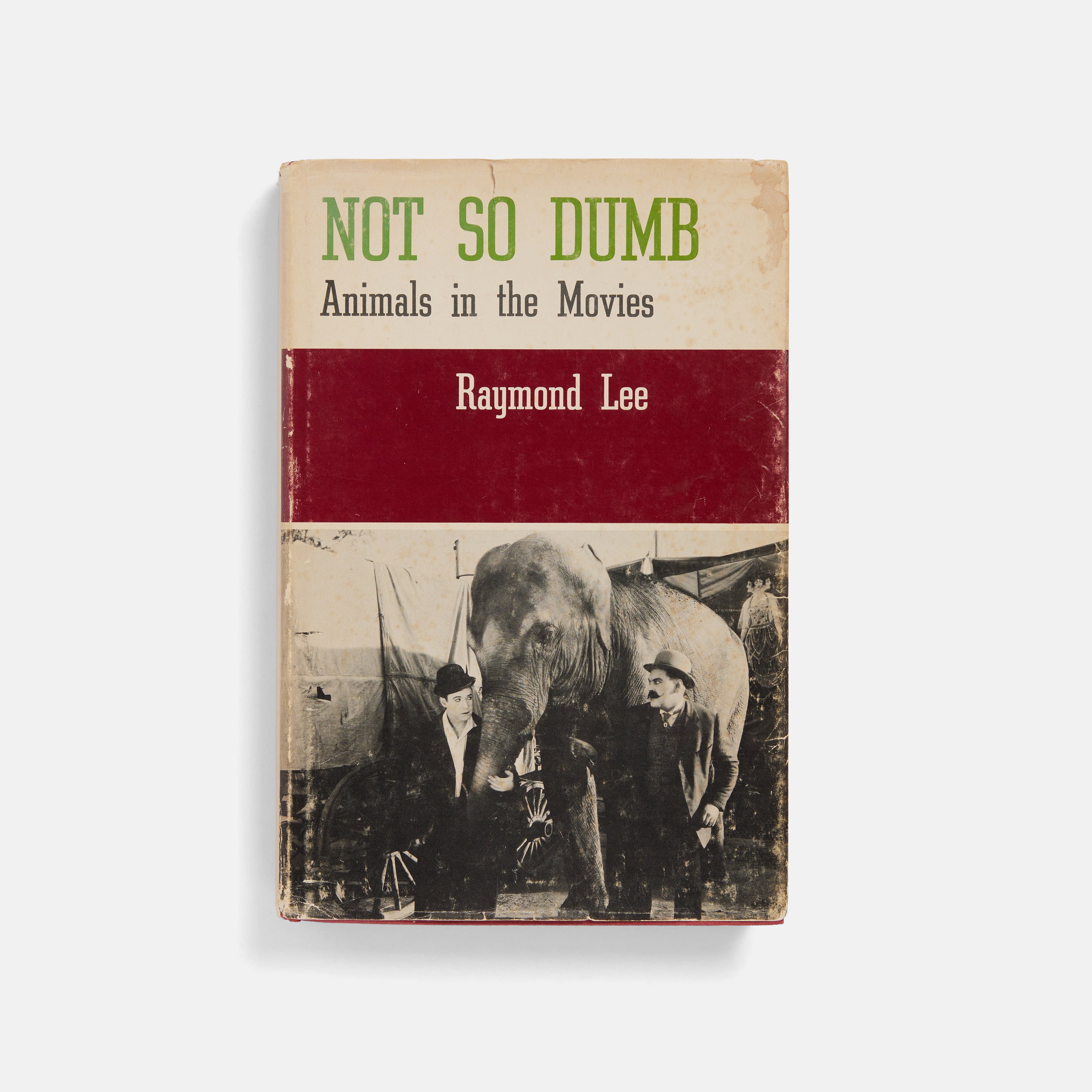 Not So Dumb: Animals In the Movies