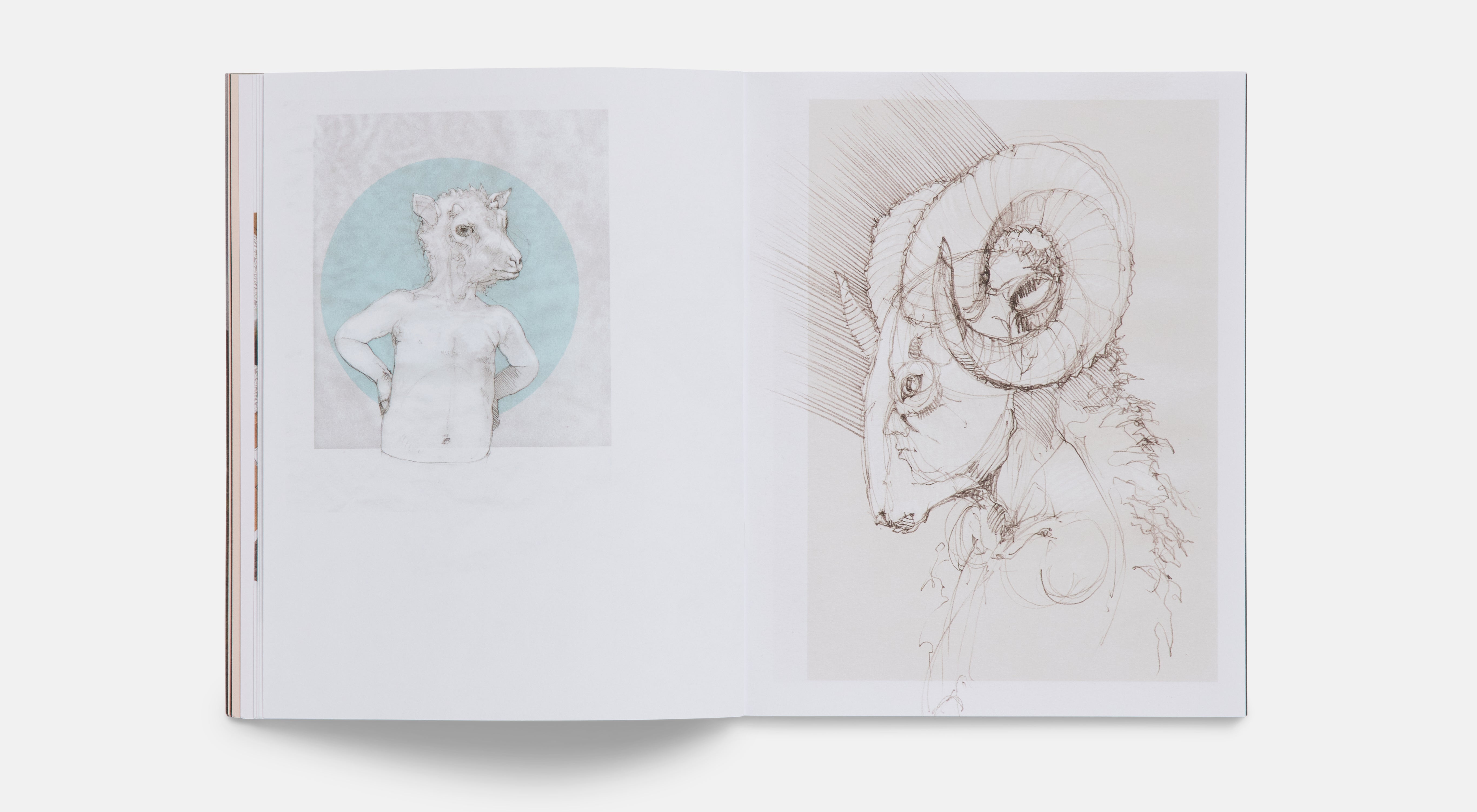 Lamb Blu-ray