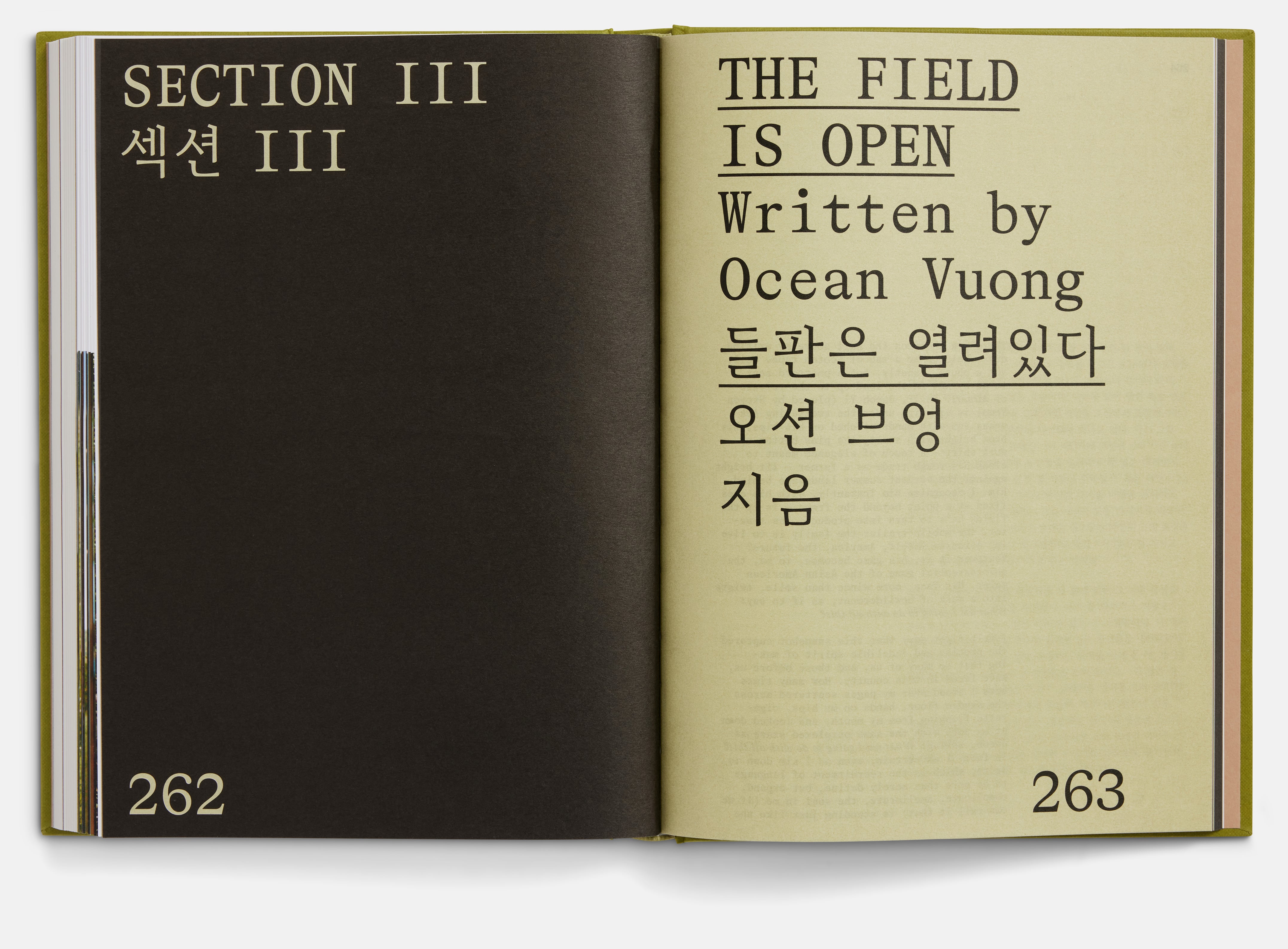 Minari Screenplay Book