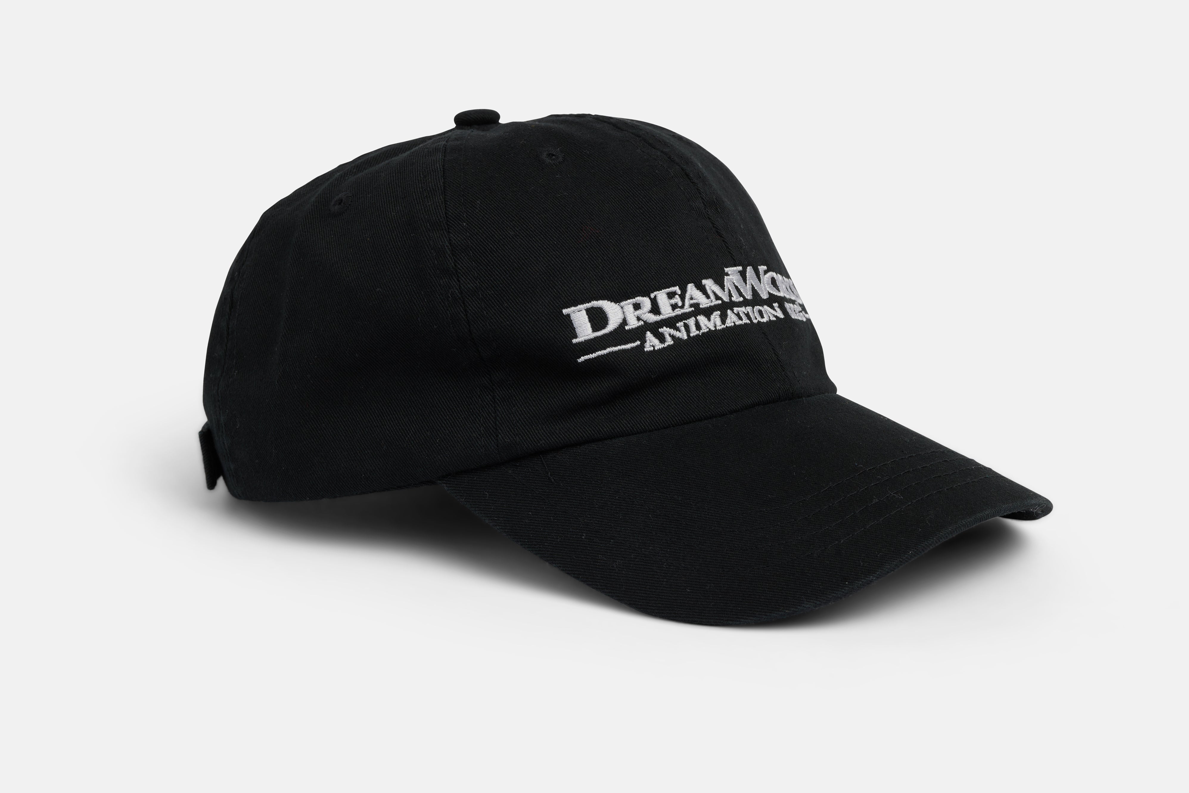 Dreamworks Animation Hat