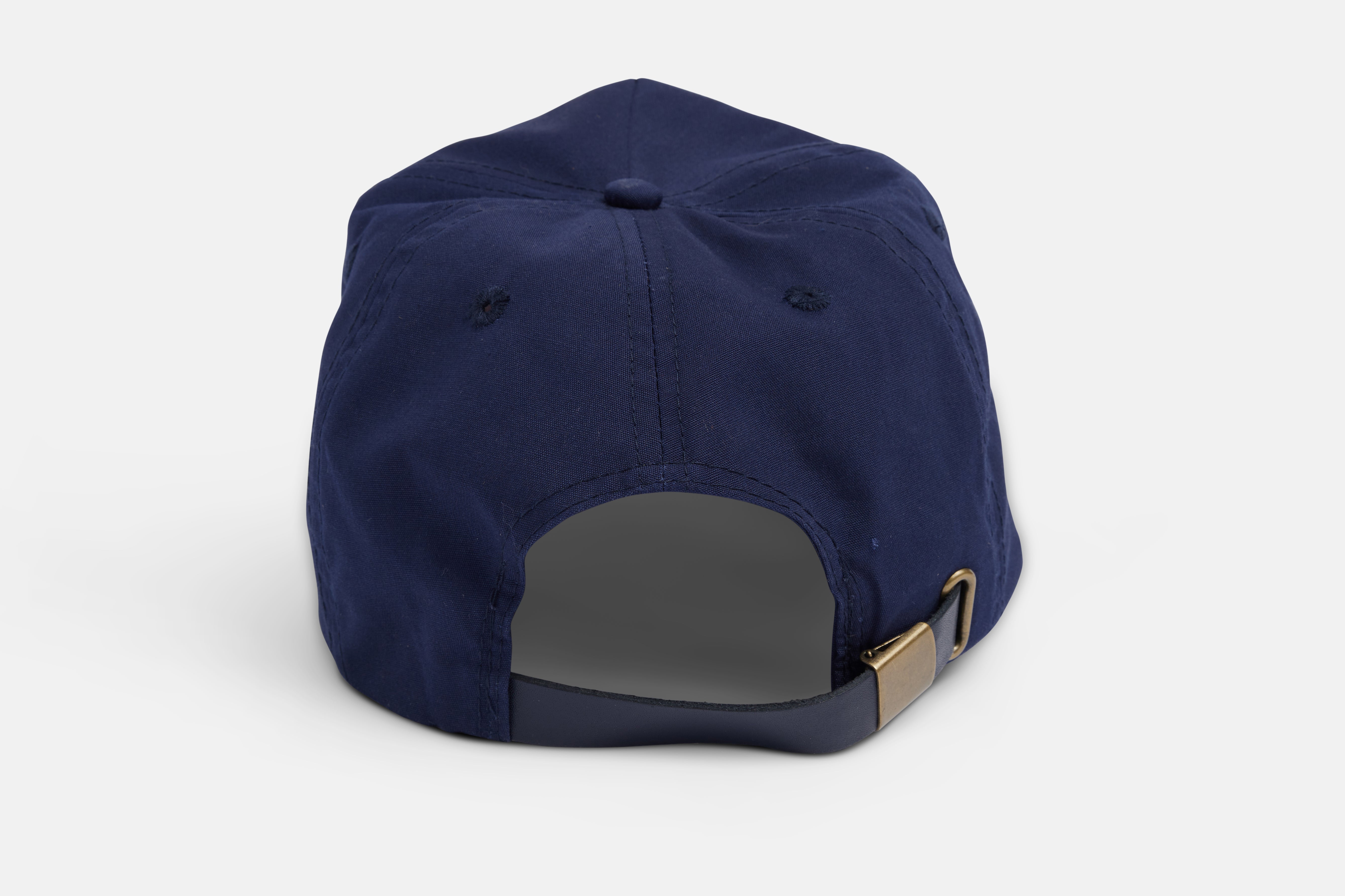 Dances With Wolves Hat