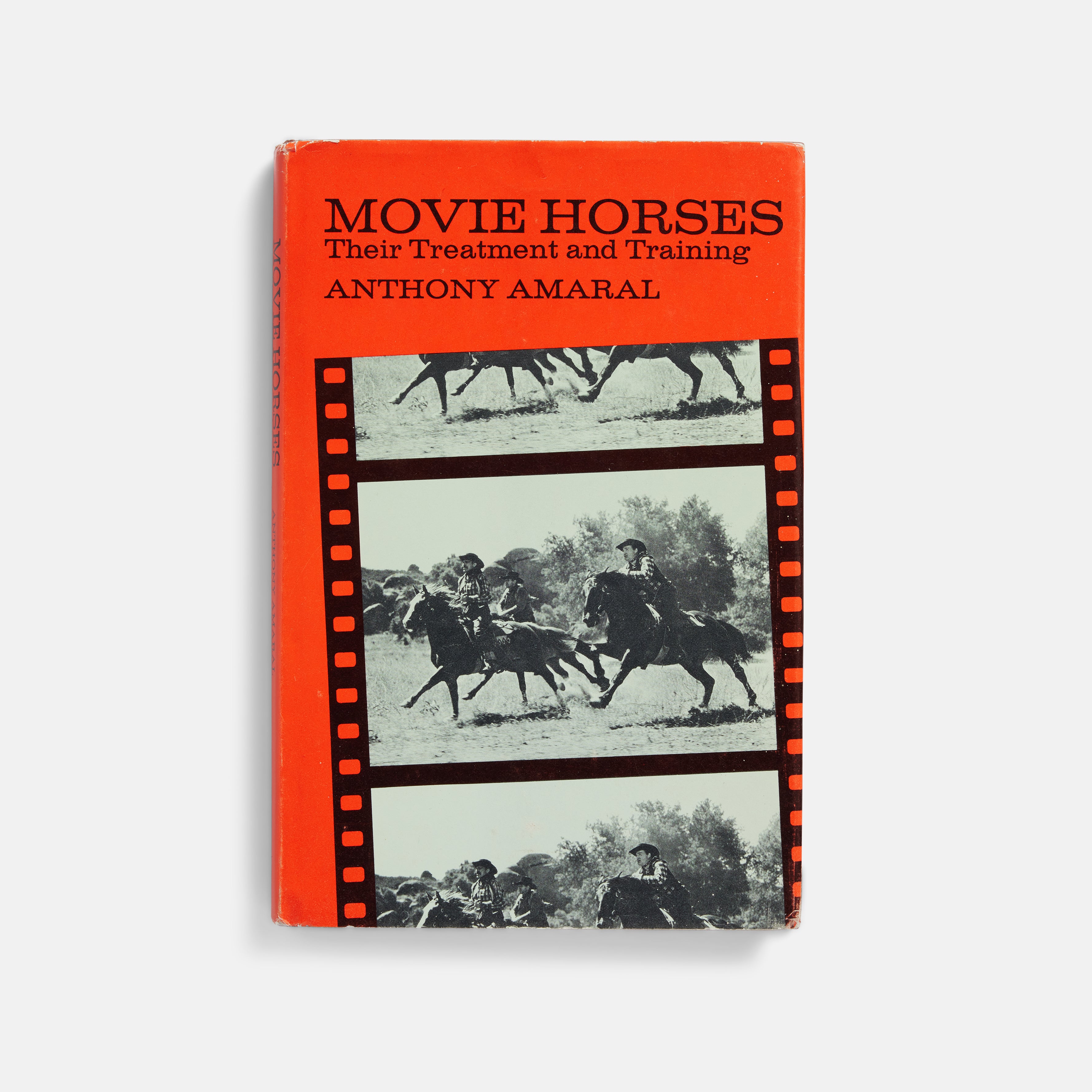 Movie Horses: Their Treatment and Training