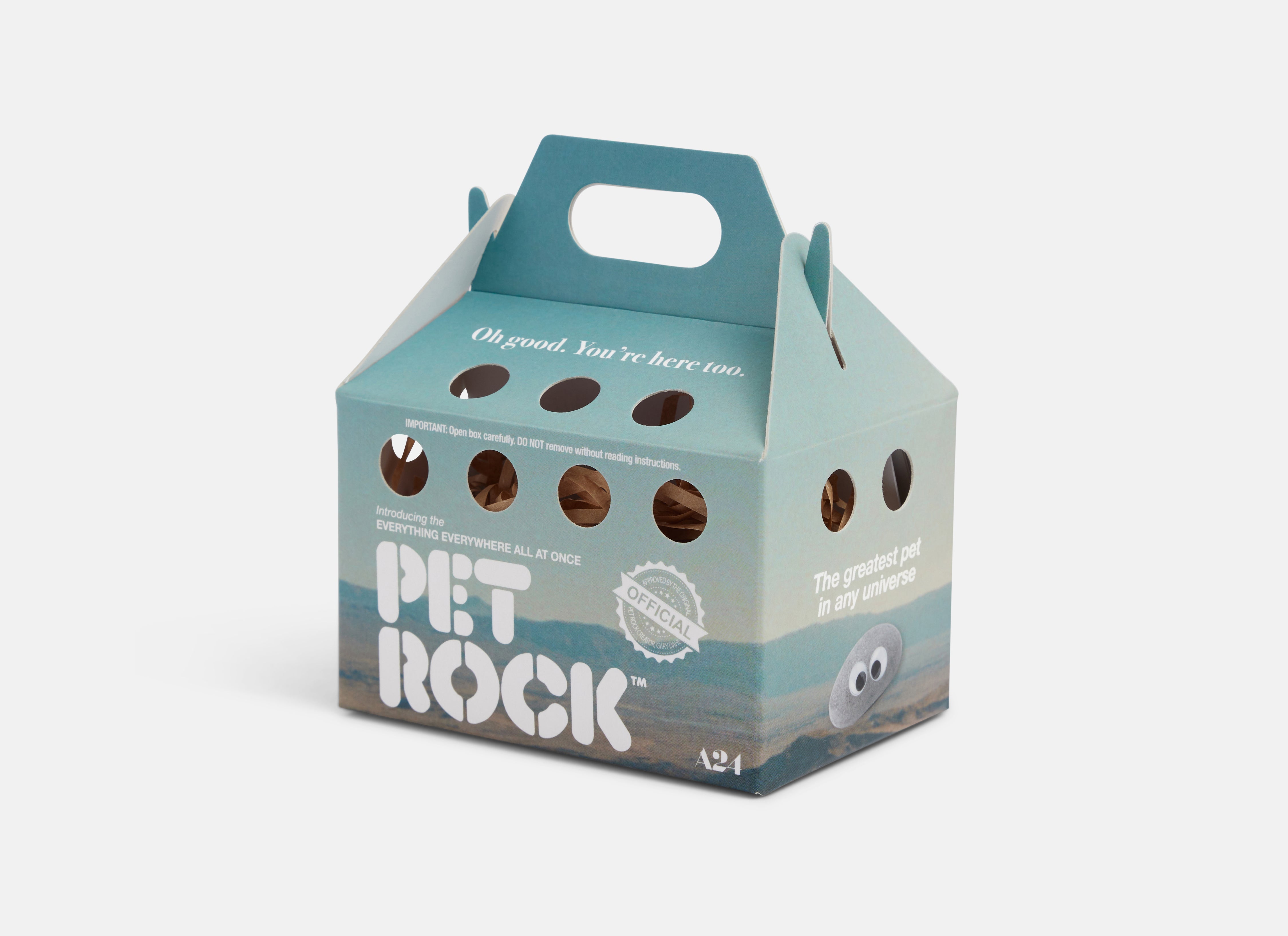 Everything Everywhere Pet Rock™ – A24 Shop