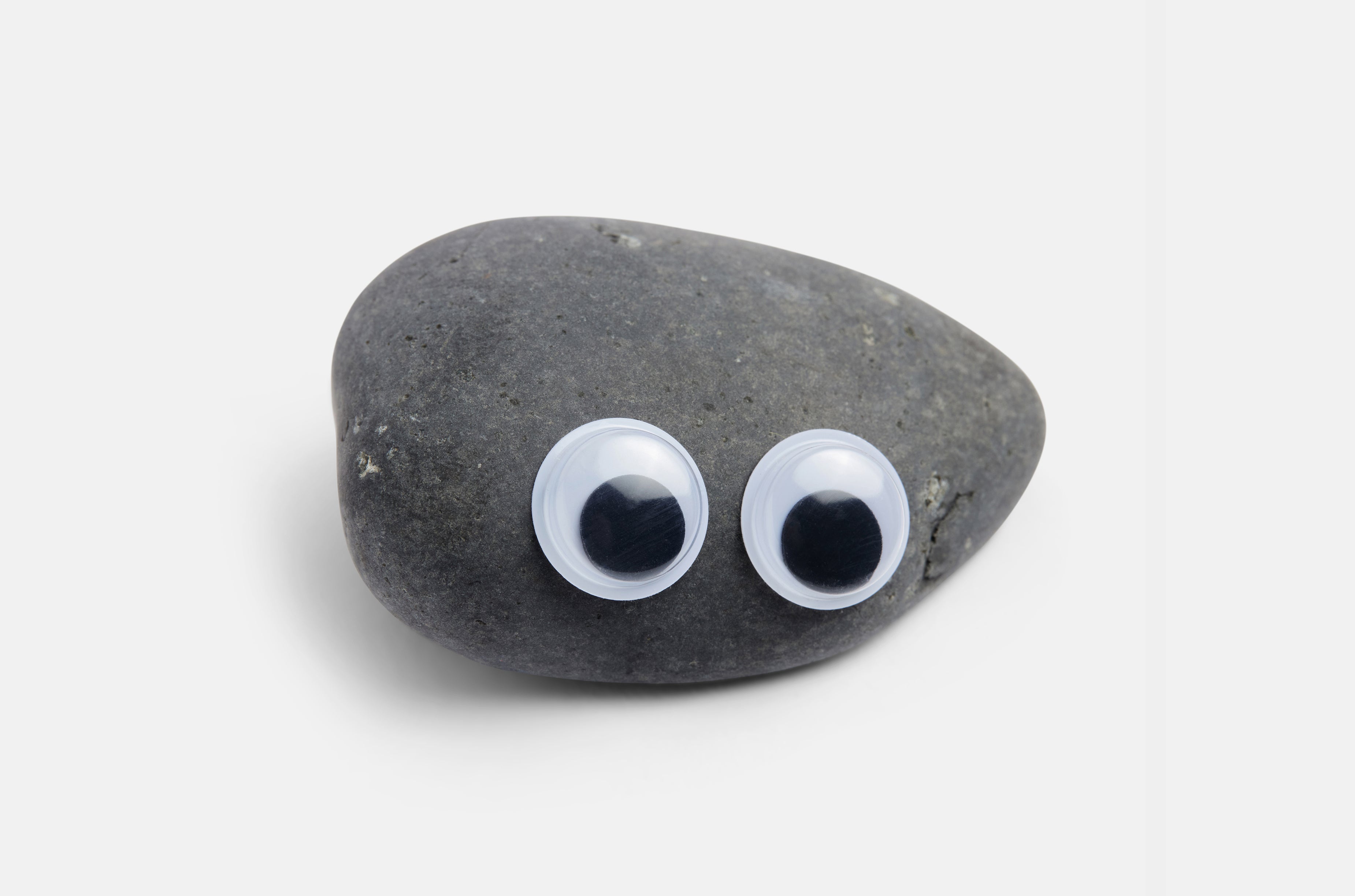 Everything Everywhere Pet Rock™