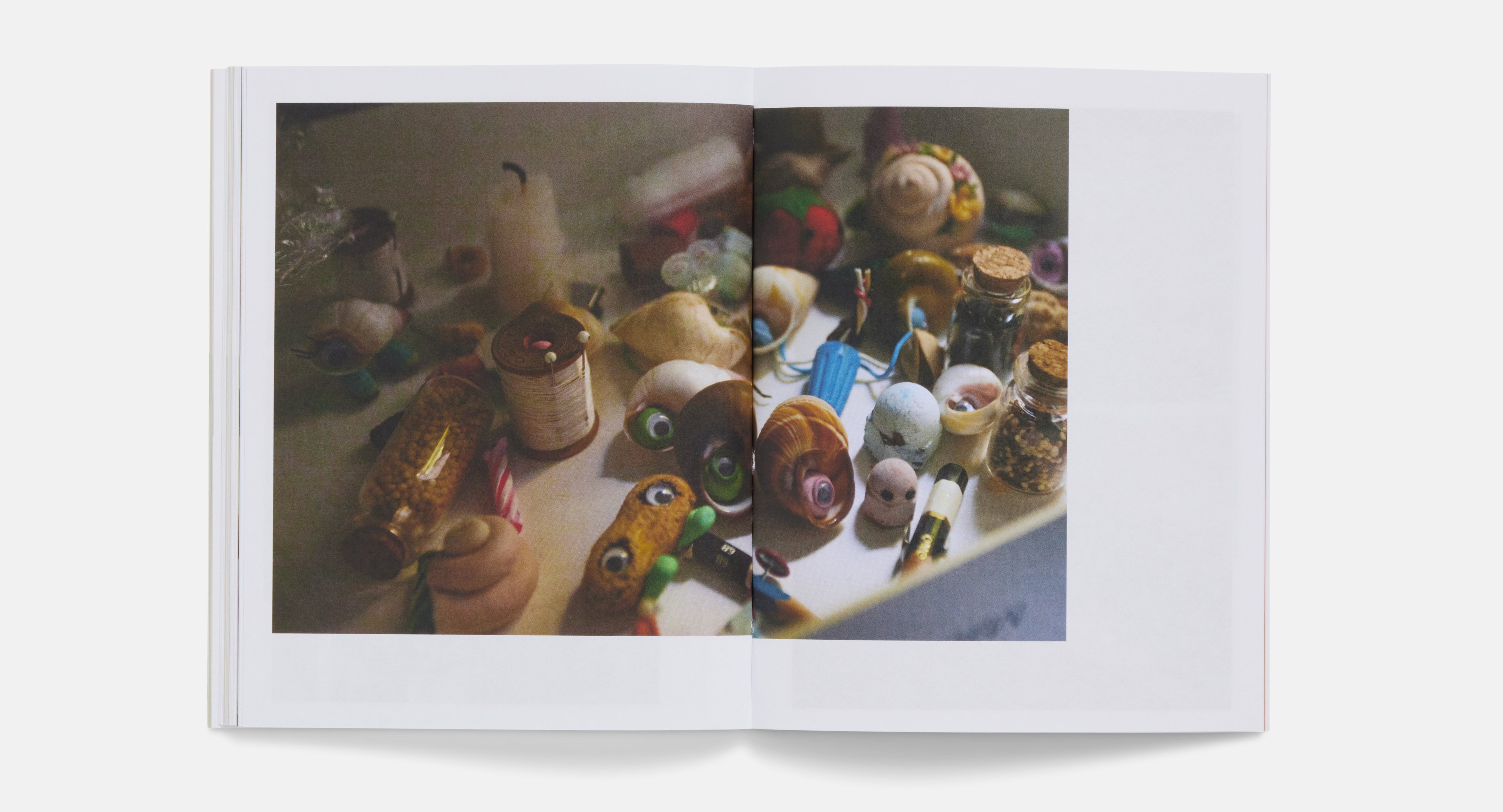 Marcel the Shell Blu-ray