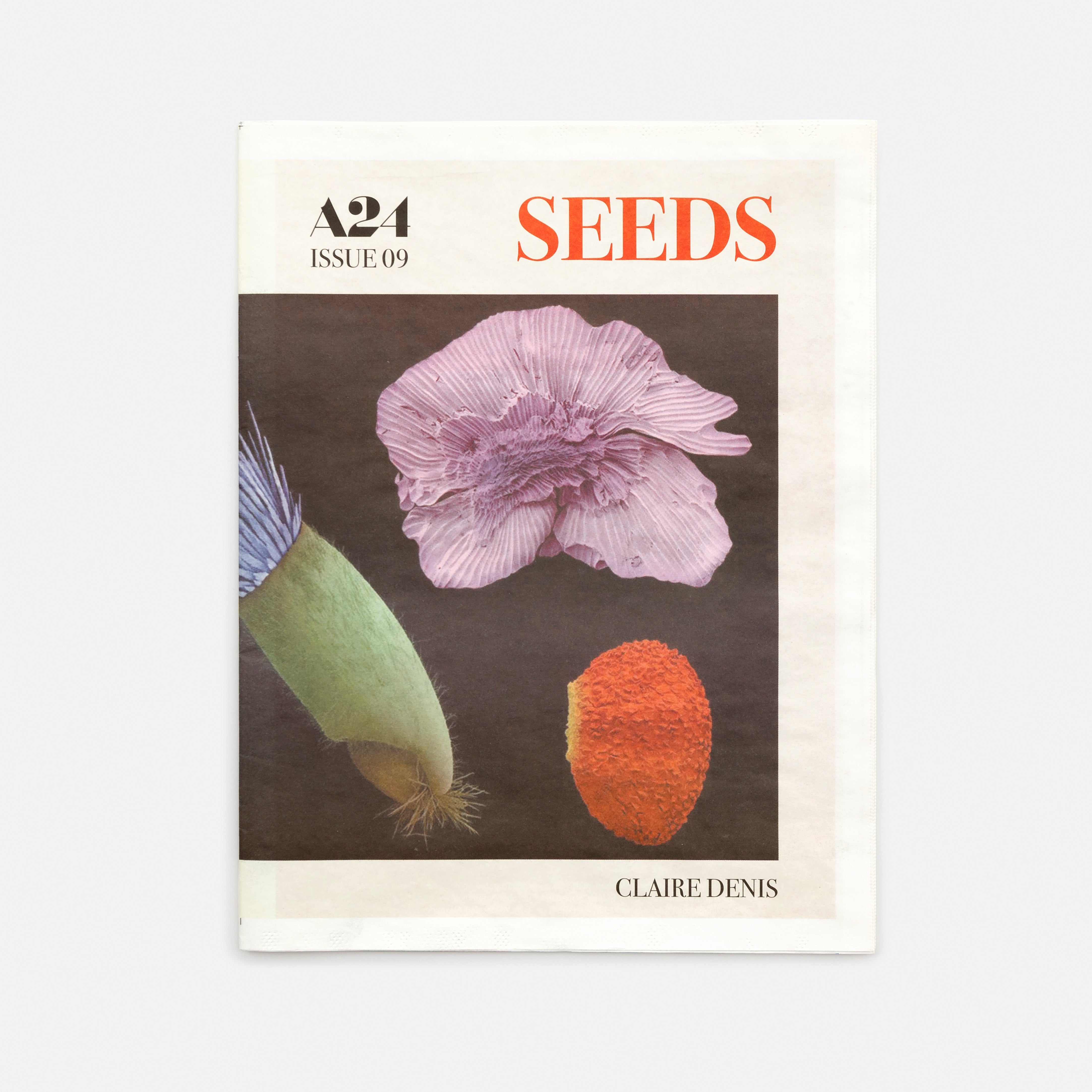 Seeds Zine by Claire Denis